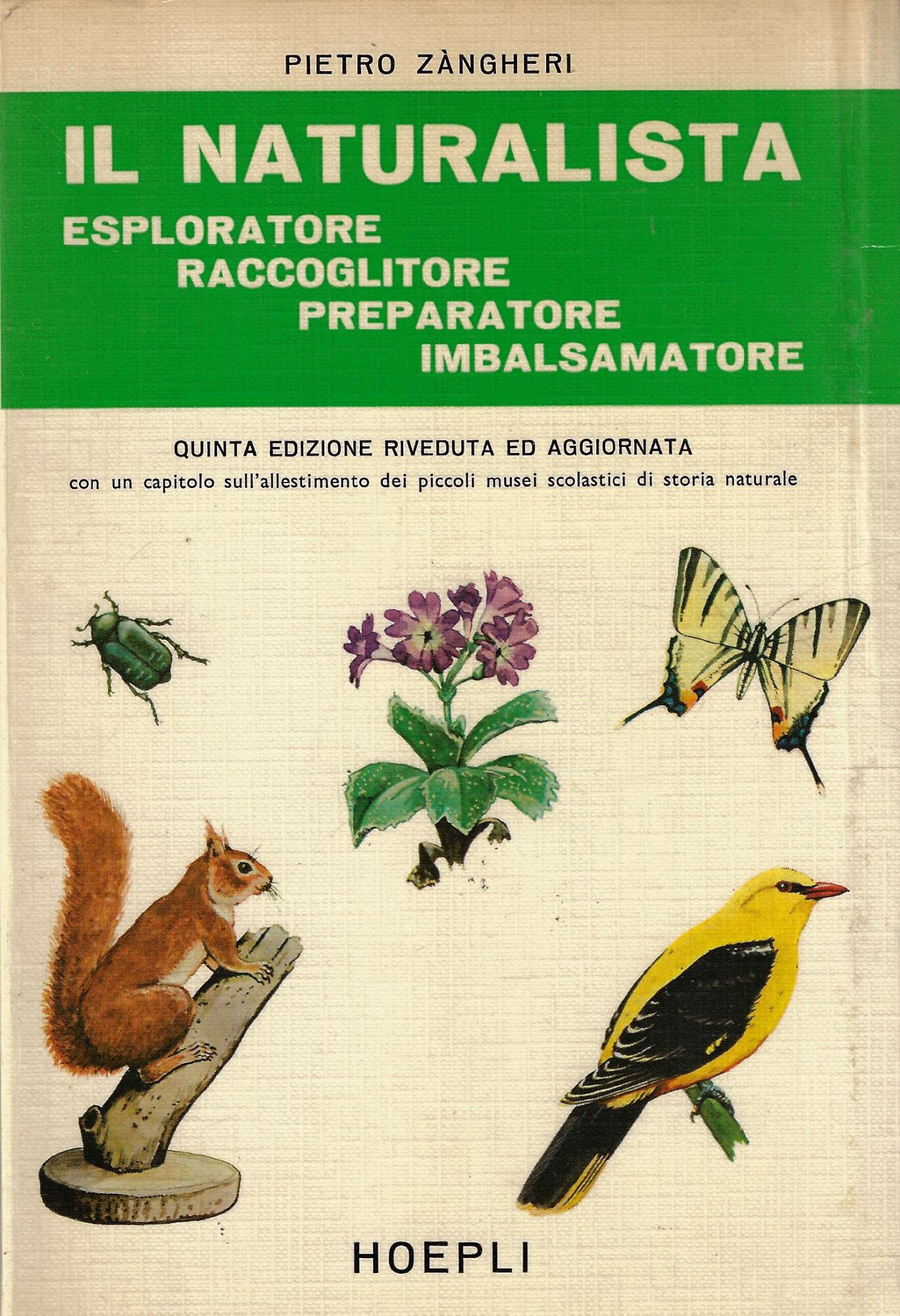 Il naturalista esploratore, raccoglitore, preparatore, imbalsamatore