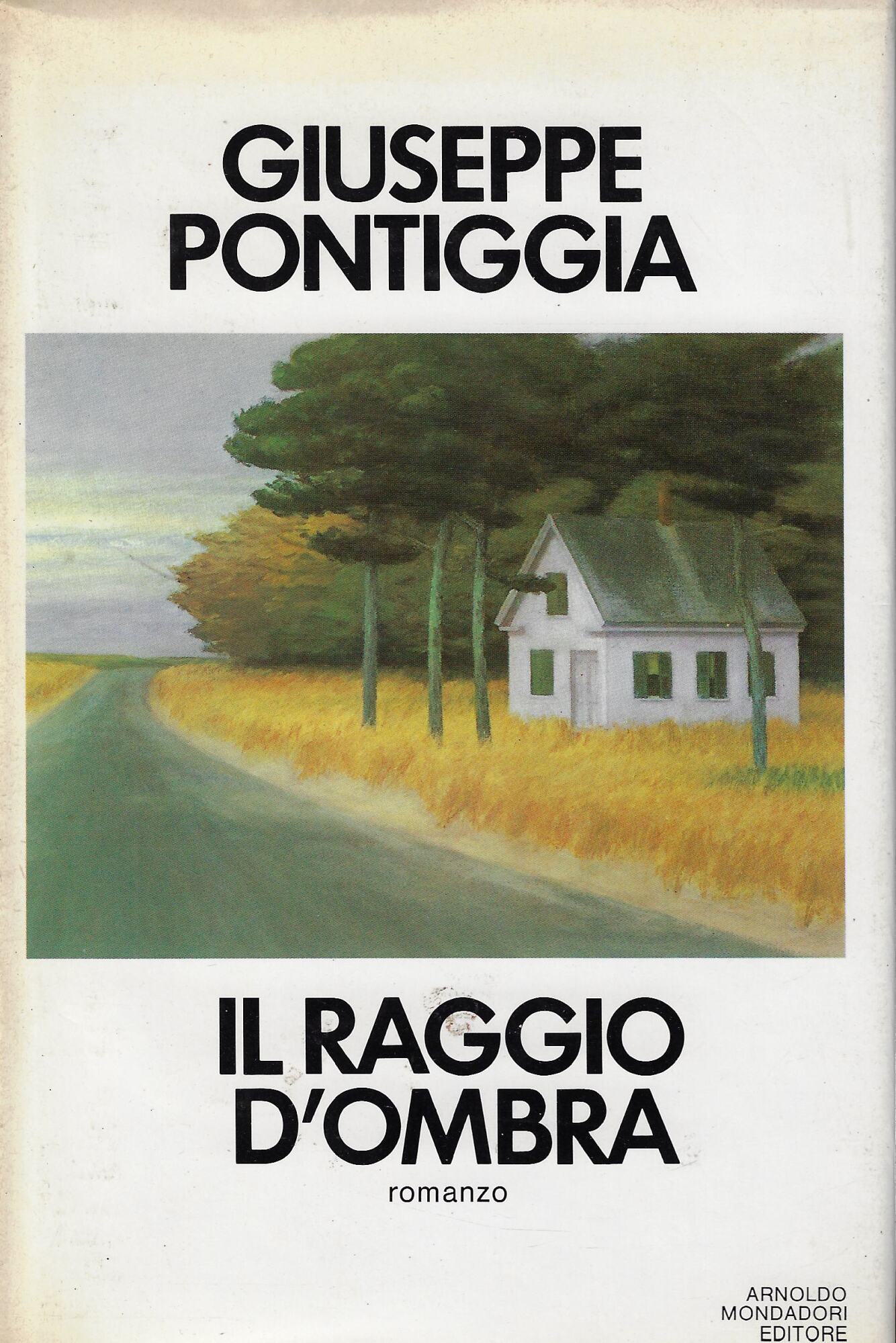 Il raggio d'ombra : romanzo