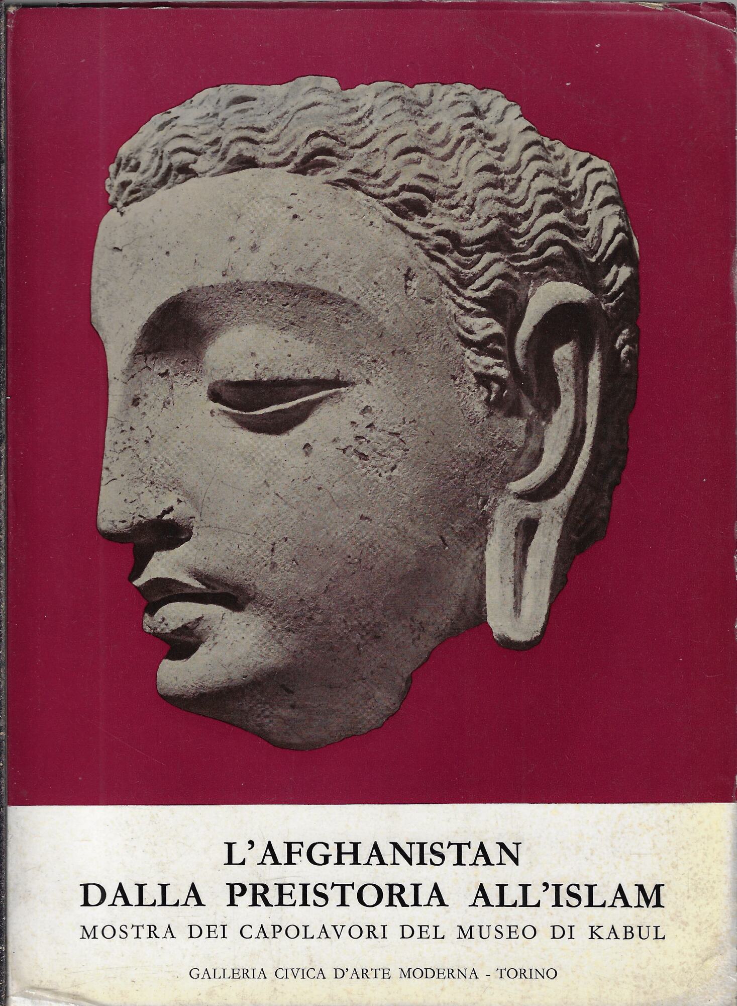L'Afghanistan dalla preistoria ai giorni nostri : capolavori del museo …