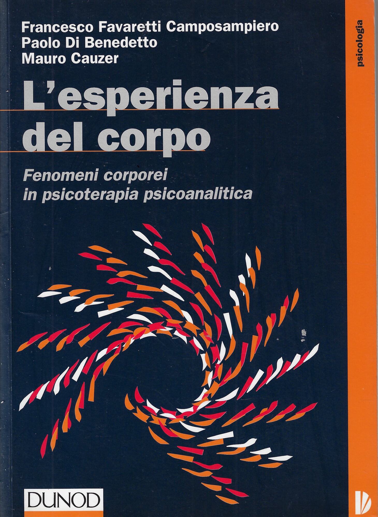 L'esperienza del corpo. Fenomeni corporei in psicoterapia psicoanalitica