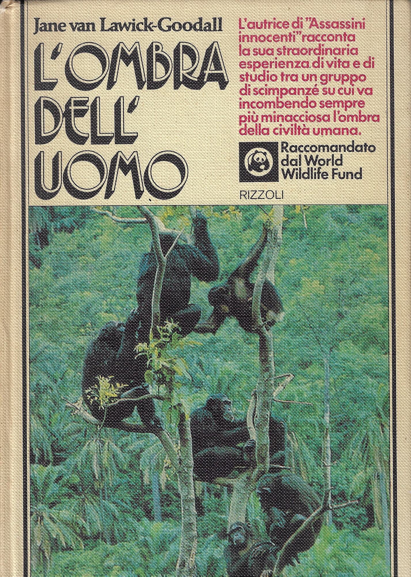 L'ombra dell'uomo