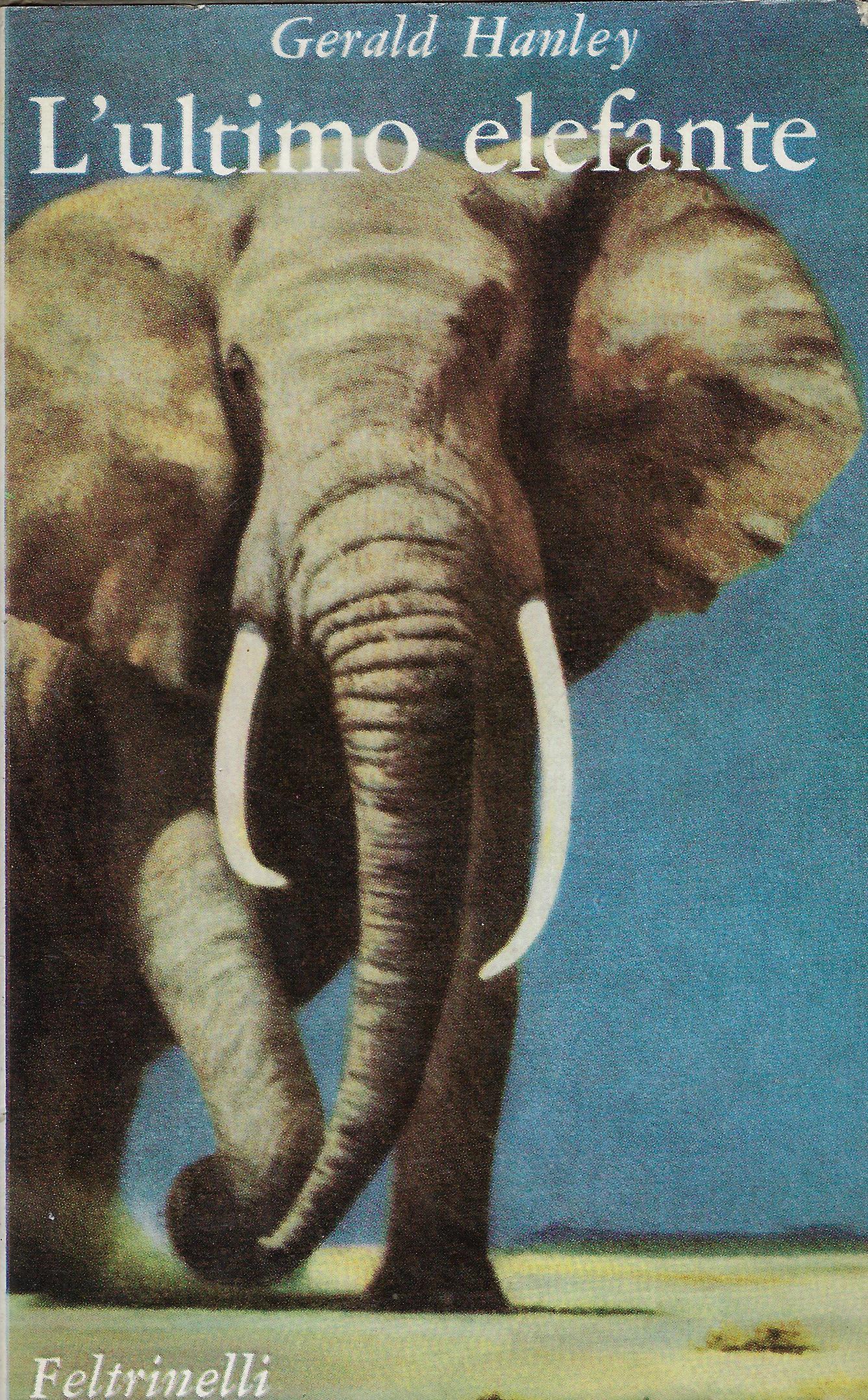 L'ultimo elefante