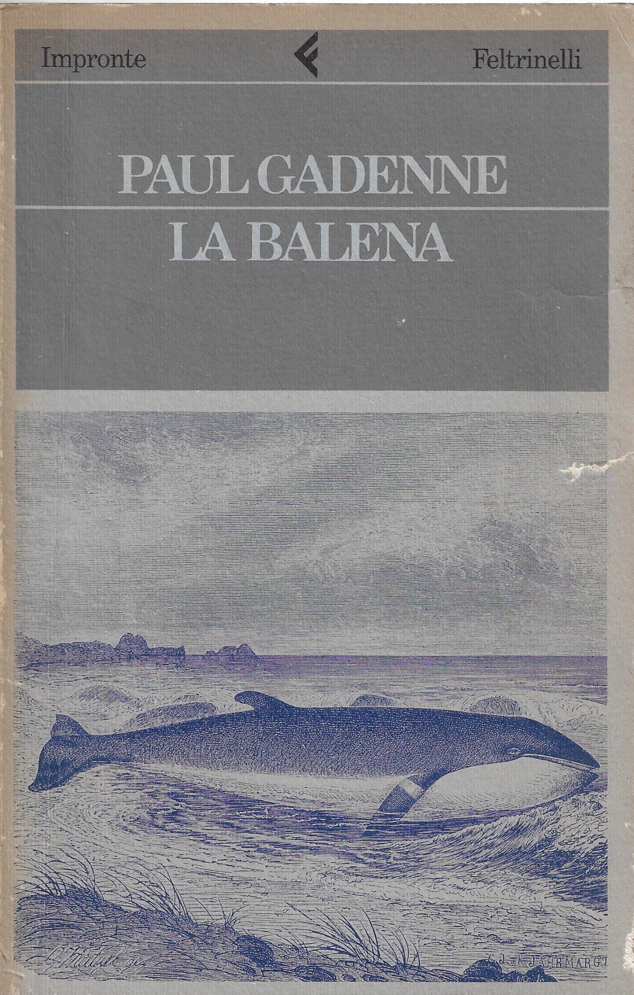 La balena; con La coccinella, o Le false tenerezze