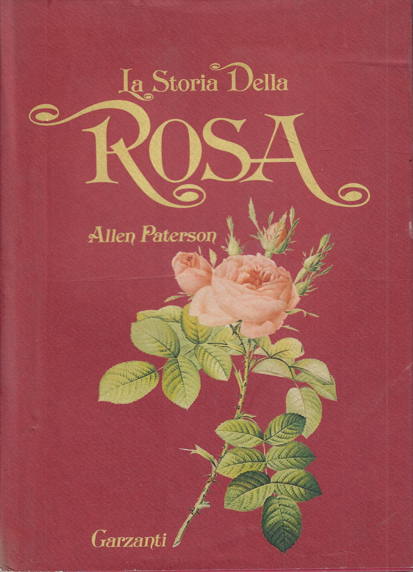 La storia della rosa