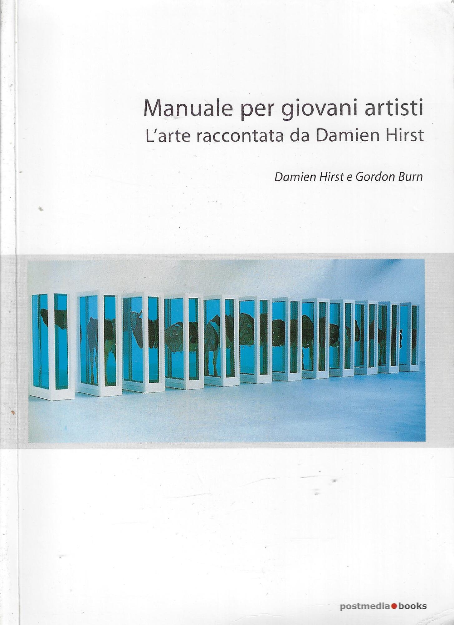 Manuale per giovani artisti. L'arte raccontata da Damien Hirst