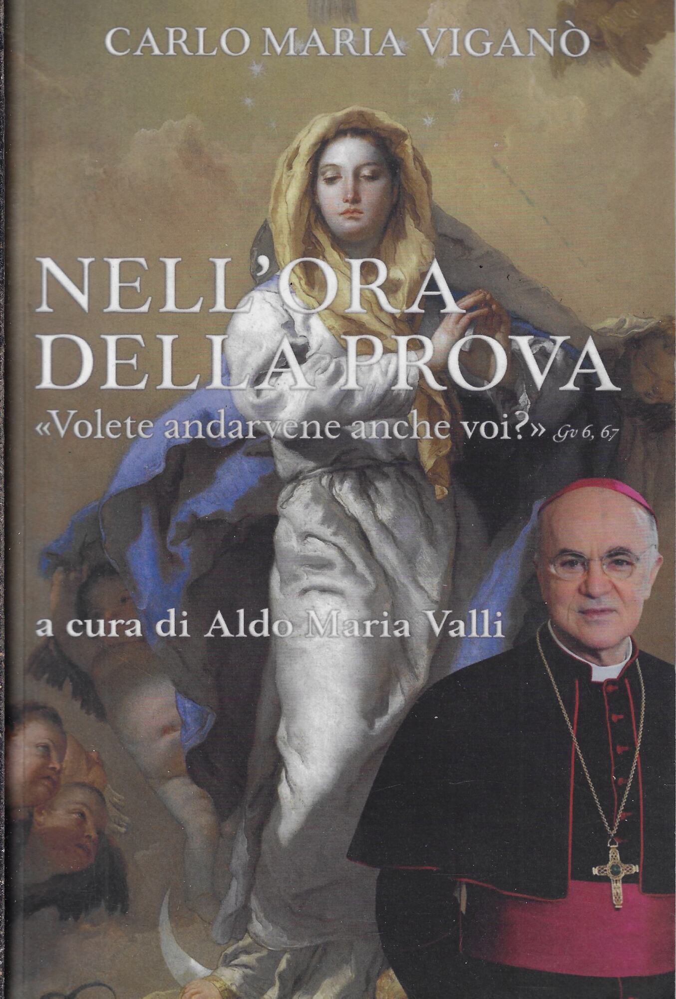 Nell'ora della prova: "Volete andarvene anche voi?" Gv 6, 67