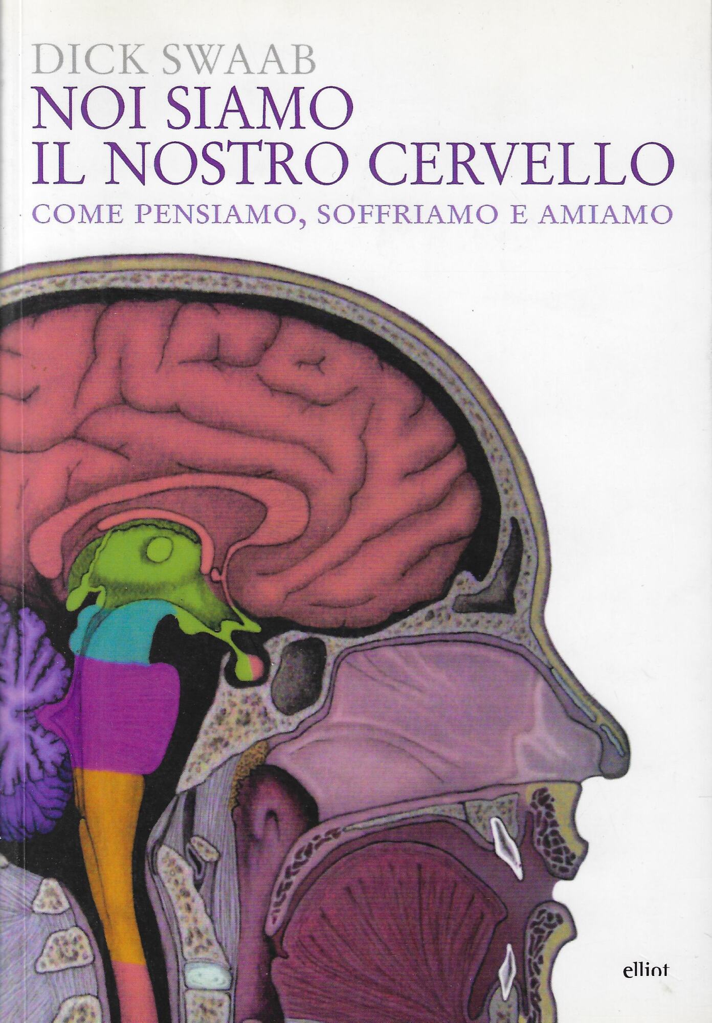 Noi siamo il nostro cervello : come pensiamo, soffriamo e …