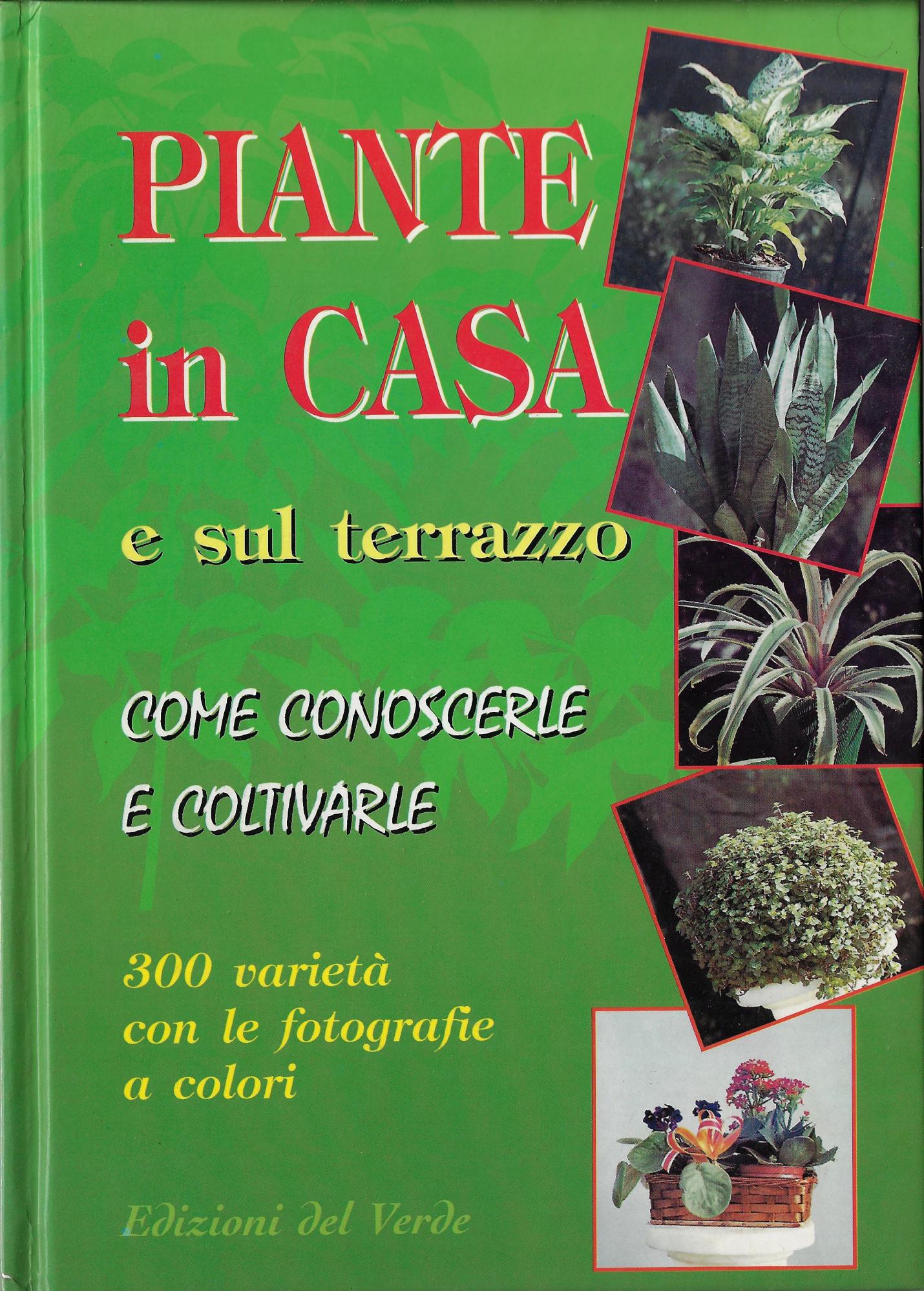 Piante in casa e sul terrazzo