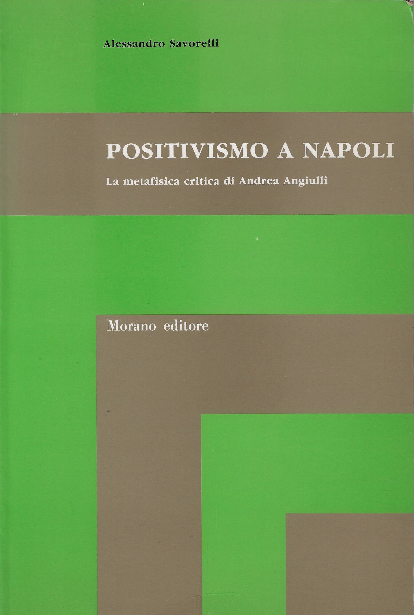 Positivismo a Napoli : la metafisica critica di Andrea Angiulli