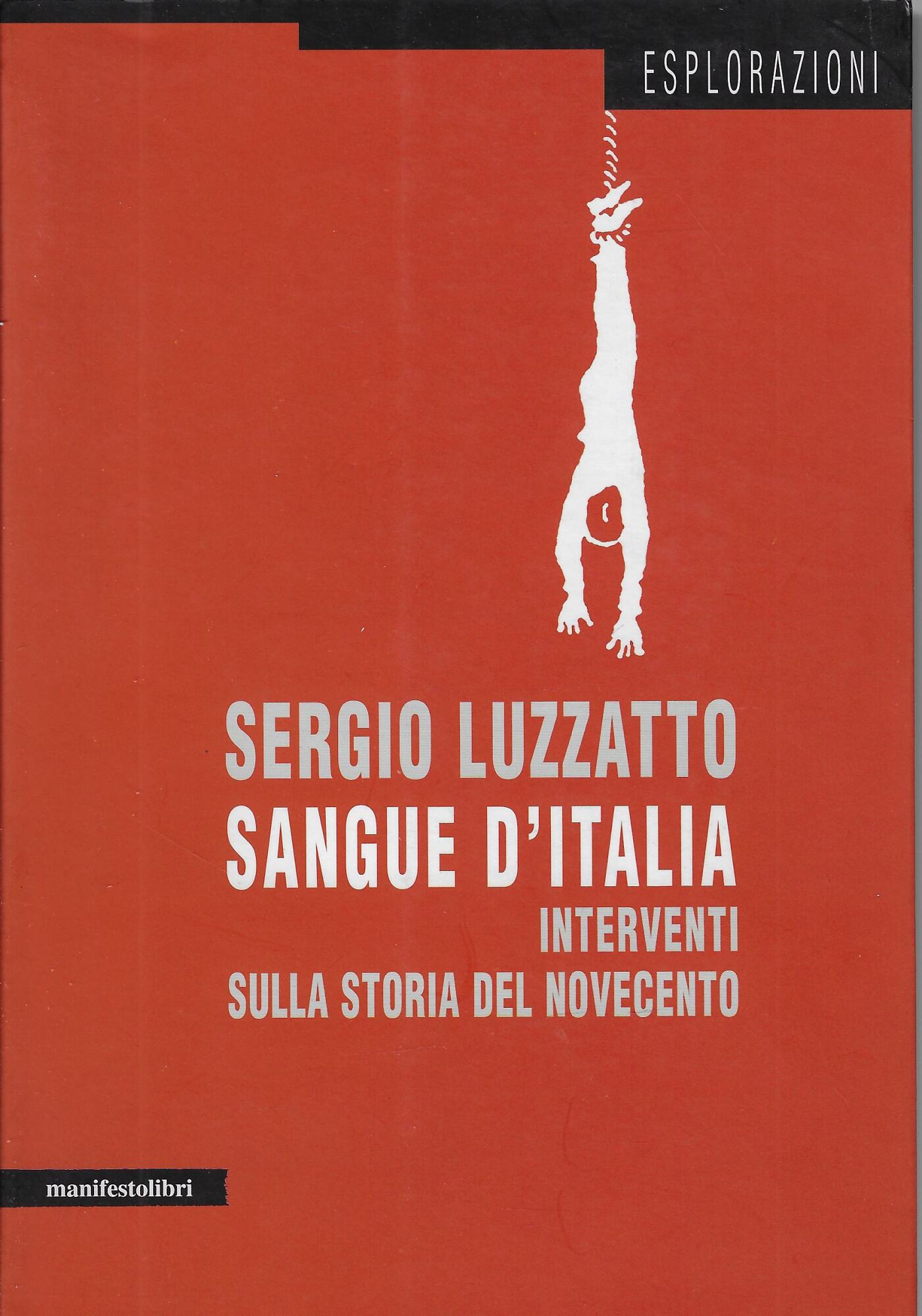 Sangue d'Italia. Interventi sulla storia del Novecento