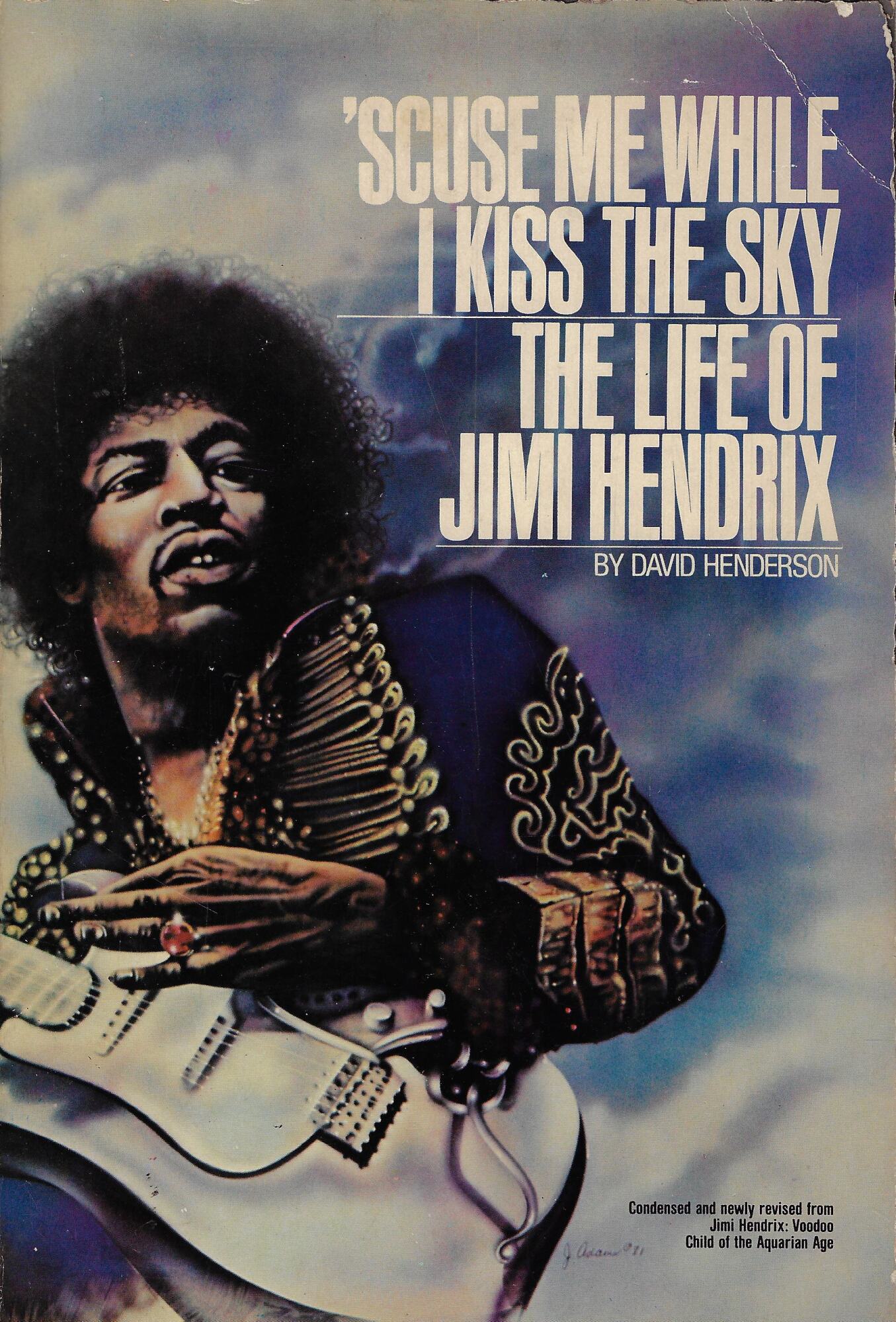 'Scuse me while I kiss the Sky : the life …