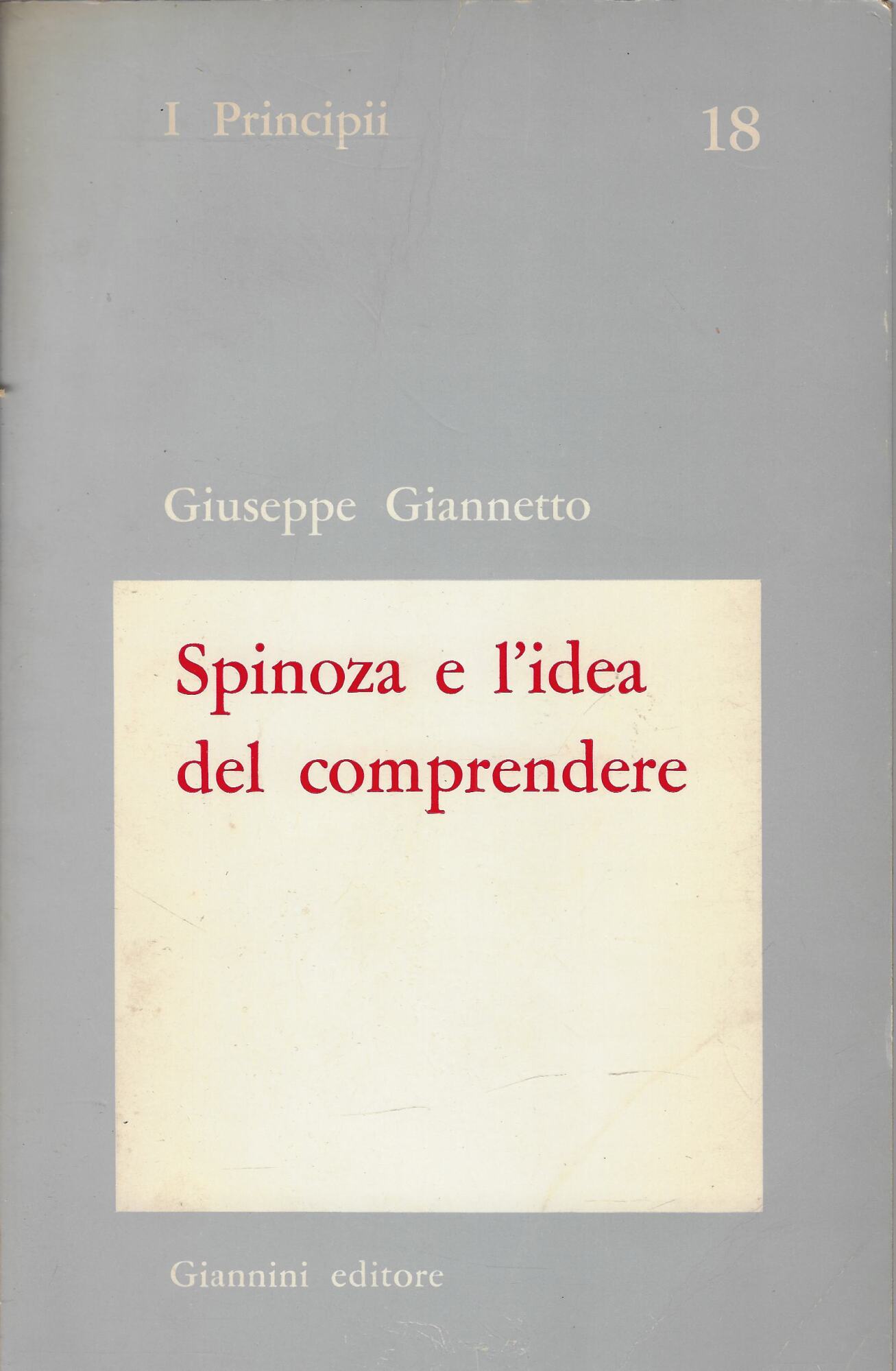 Spinoza e l'idea del comprendere