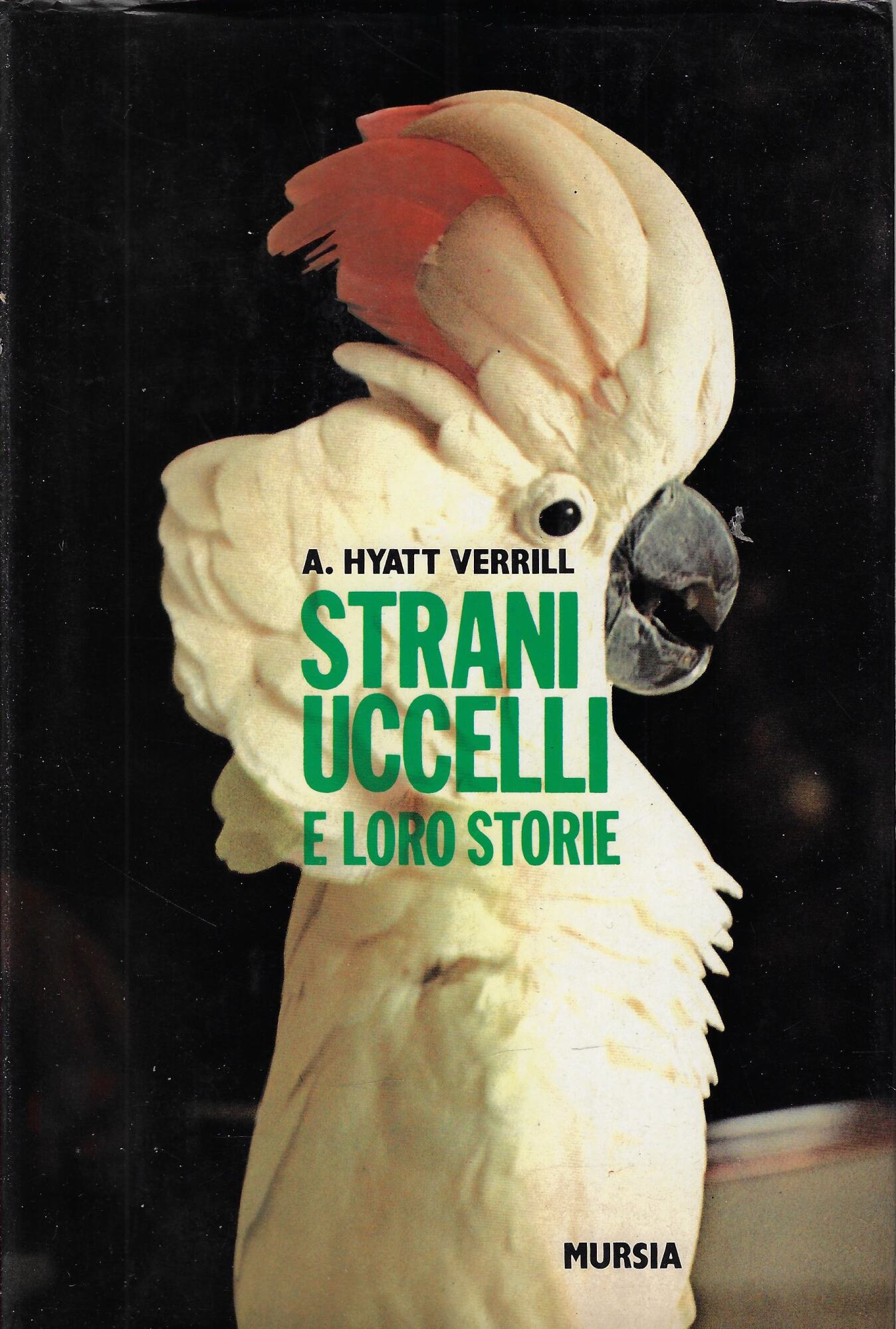 Strani uccelli e loro storie