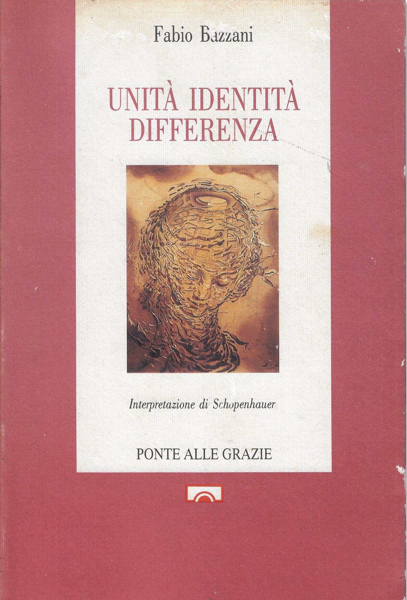 Unità identità differenza : interpretazione di Schopenhauer