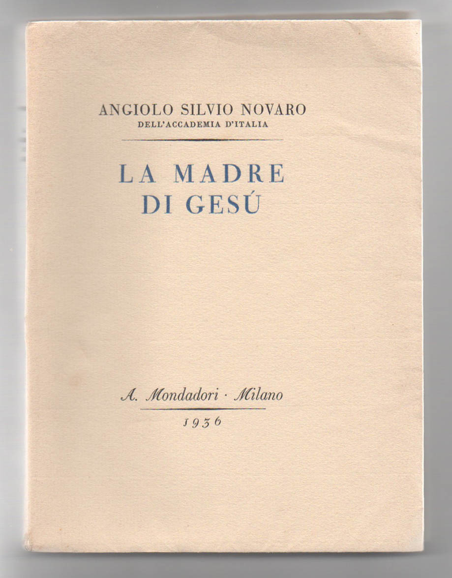 Il libro di mio figlio