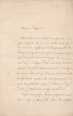 Lettera autografa firmata inviata ad un professore. Datata 8 dicembre …