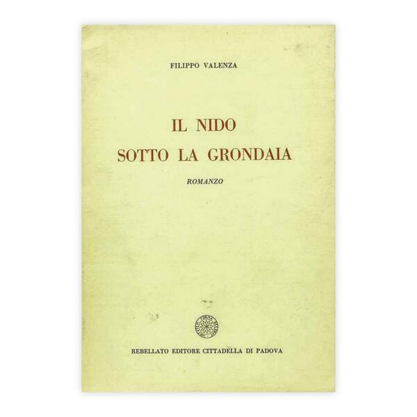Filippo Valenza - Il nido sotto la grondaia