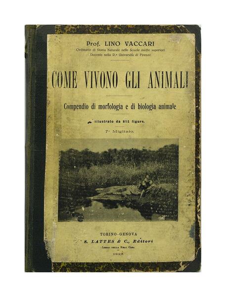 Lino Vaccari - Come vivono gli animali