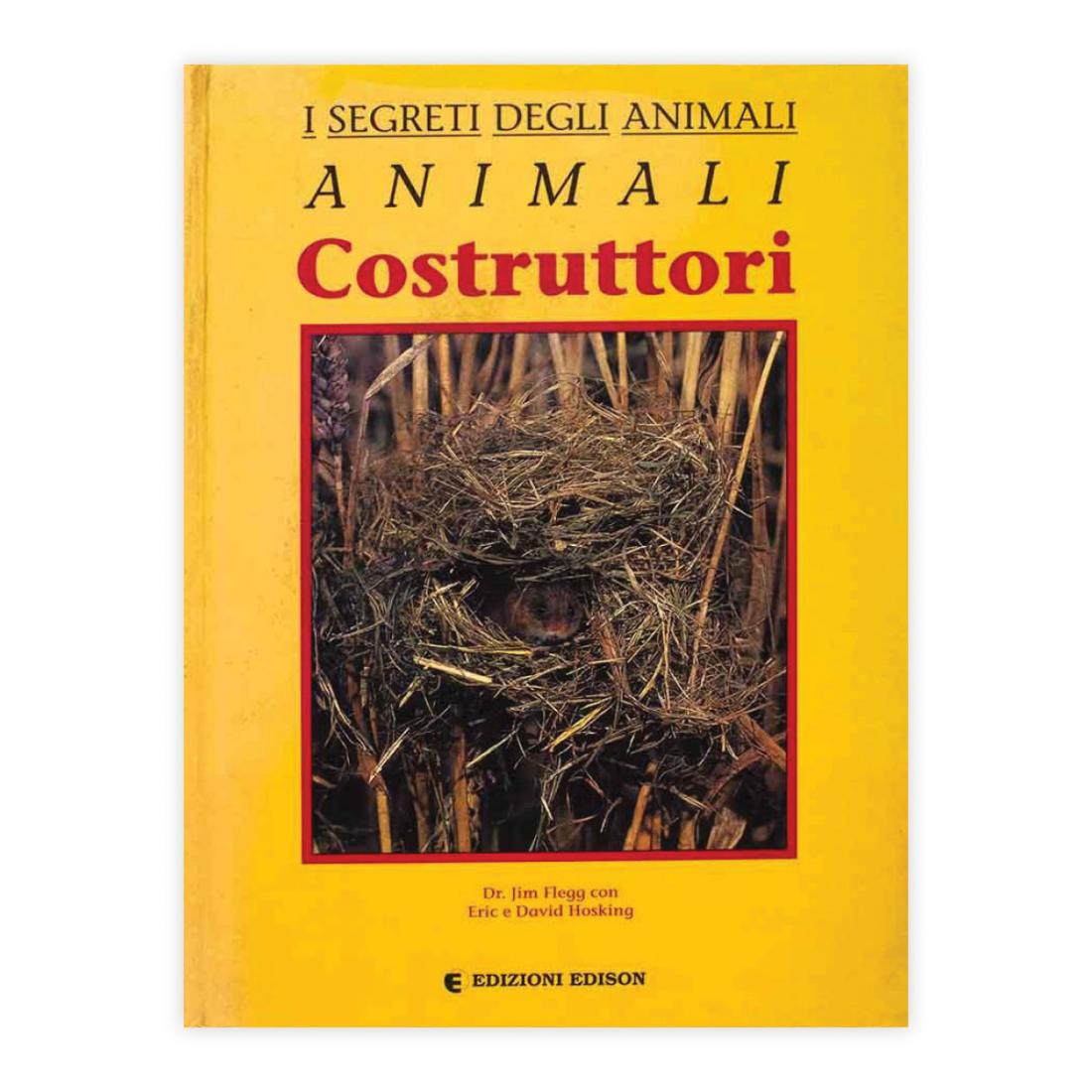 Animali costruttori