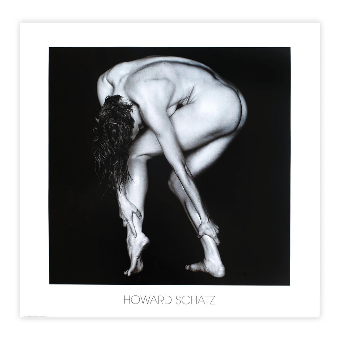 Howard Schatz