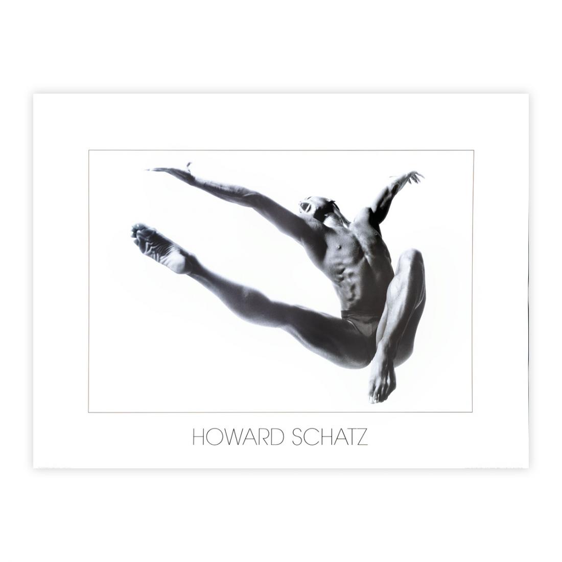 Howard Schatz