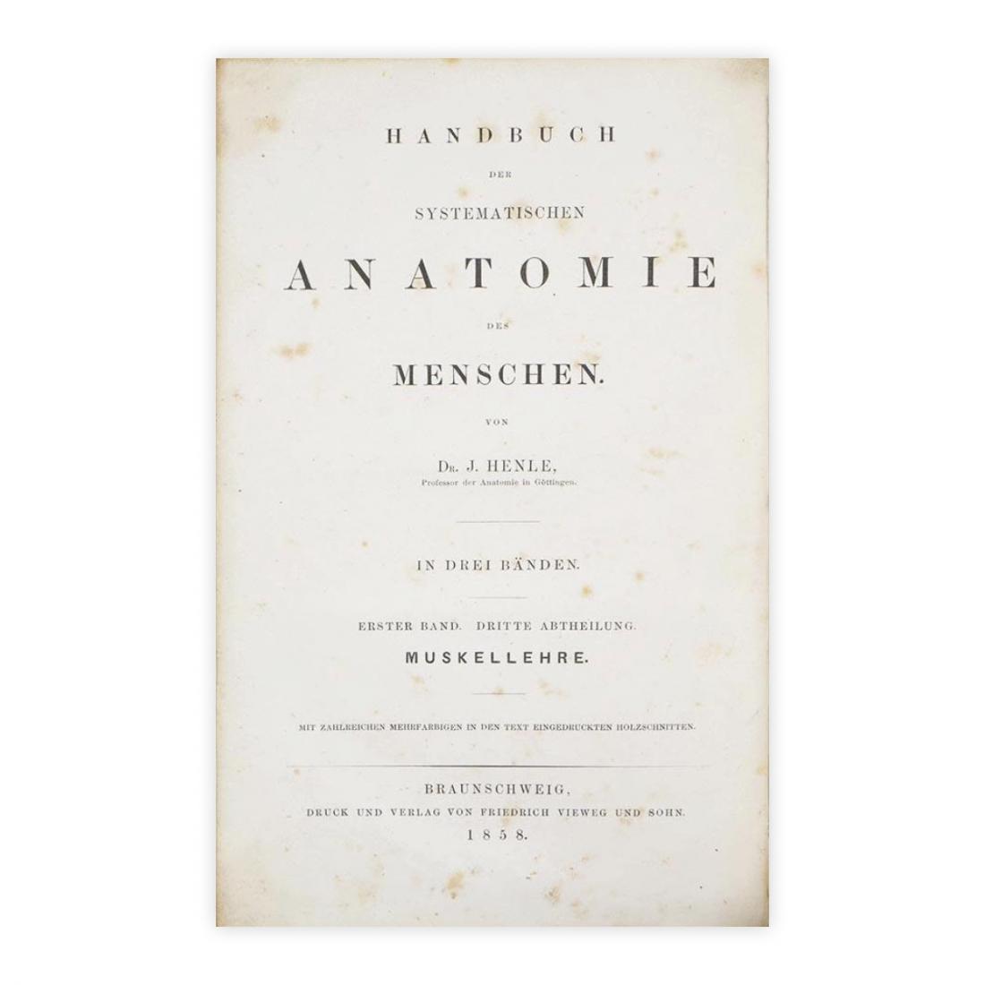 J. Henle - Handuch der systematischen anatomie des menschen