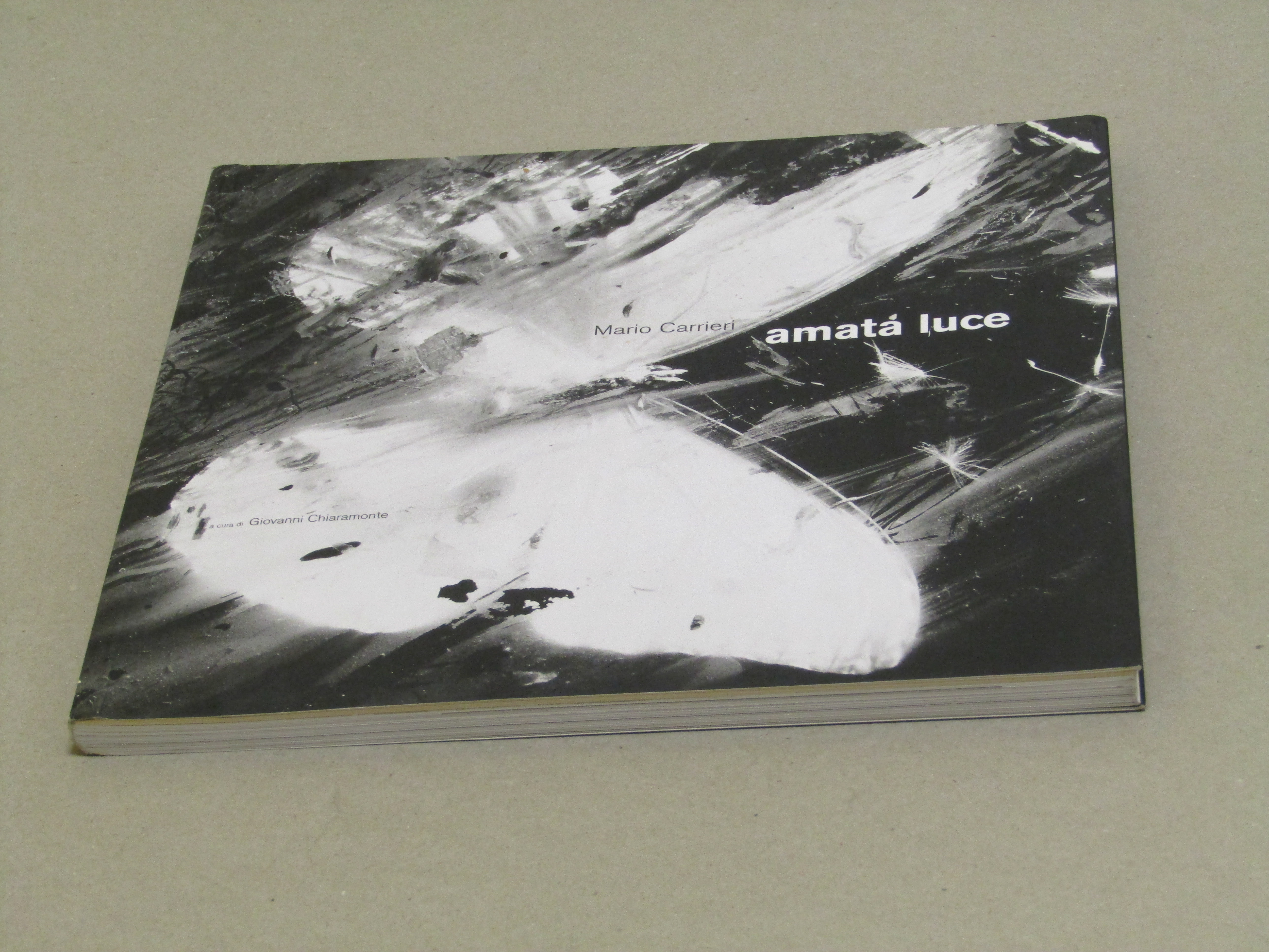 a cura di Giovanni Chiaramonte. Mario Carrieri. Amata luce