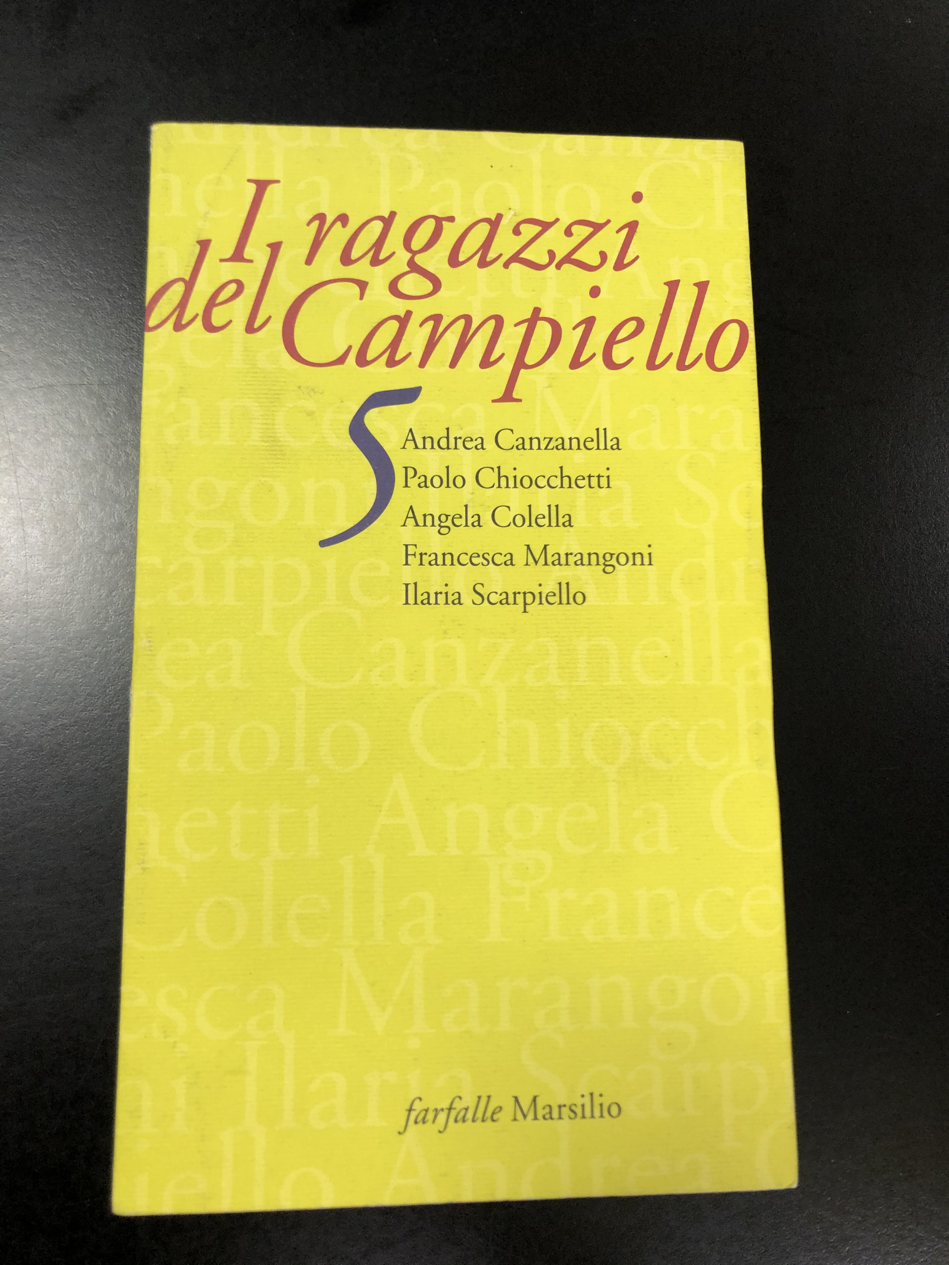 AA. VV: I ragazzi del Campiello. Marsilio, 2004.