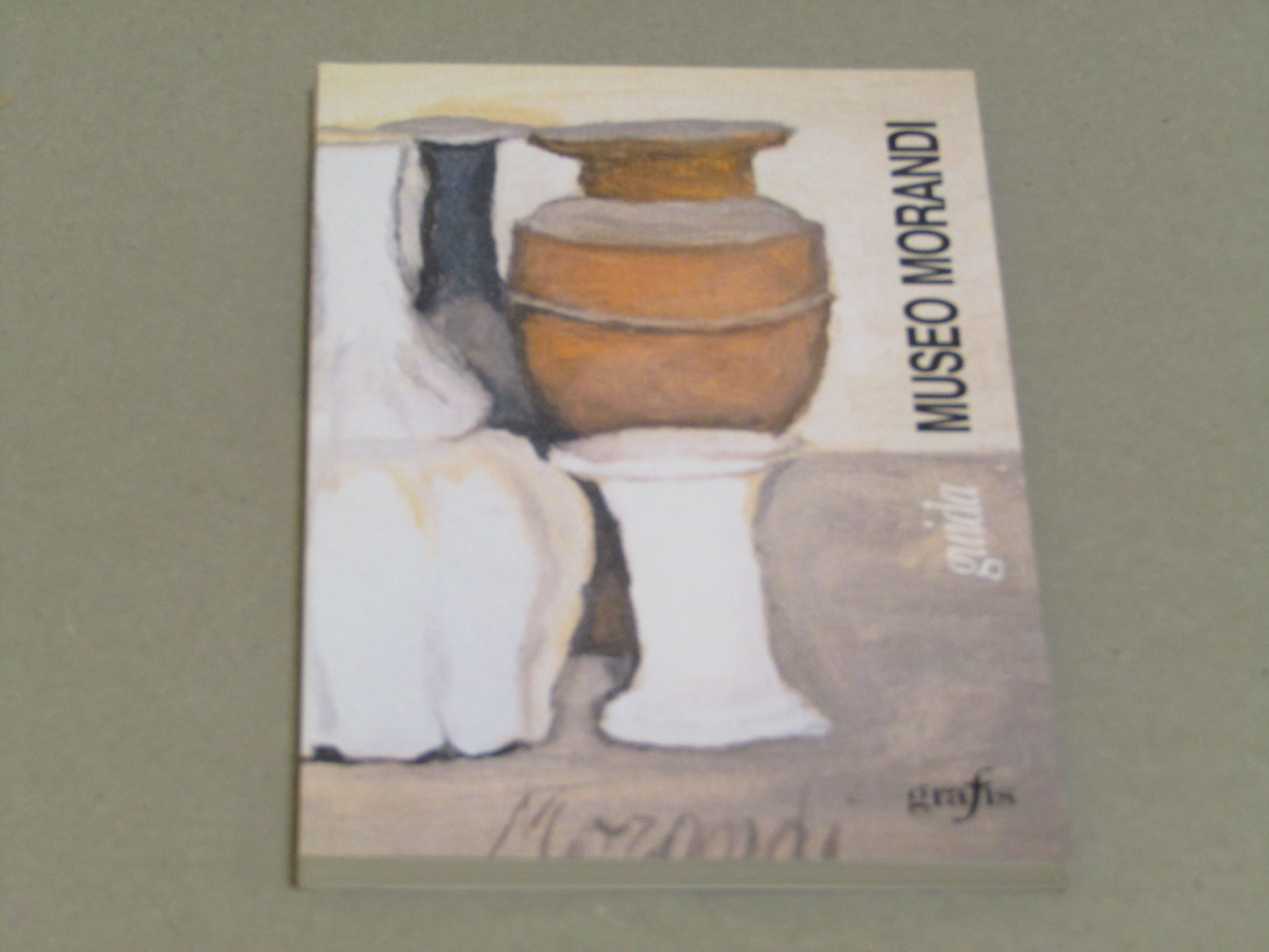 AA. VV. Museo Morandi