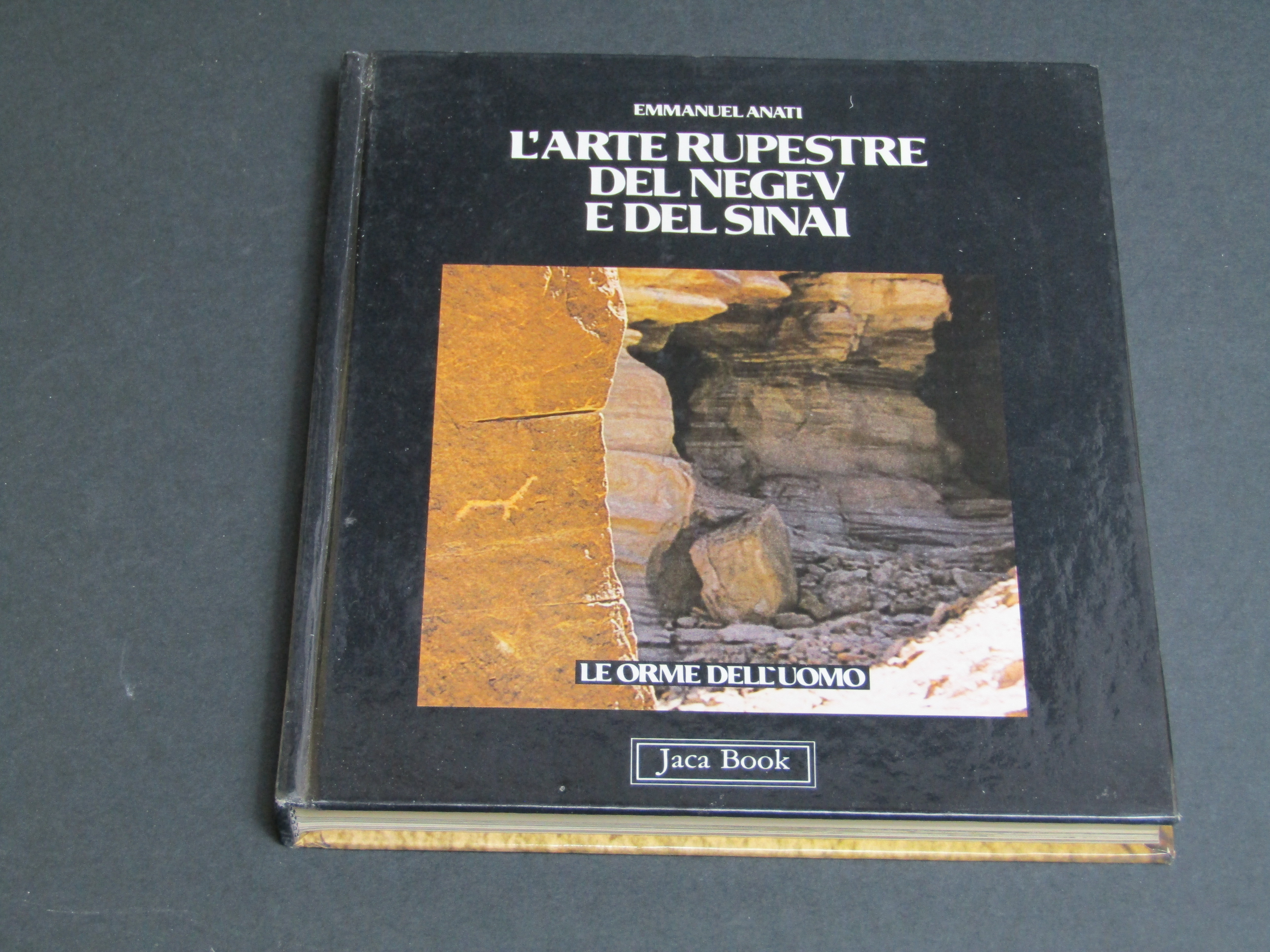 Anati Emmanuel. L'arte rupestre del Negev e del Sinai. Jaca …