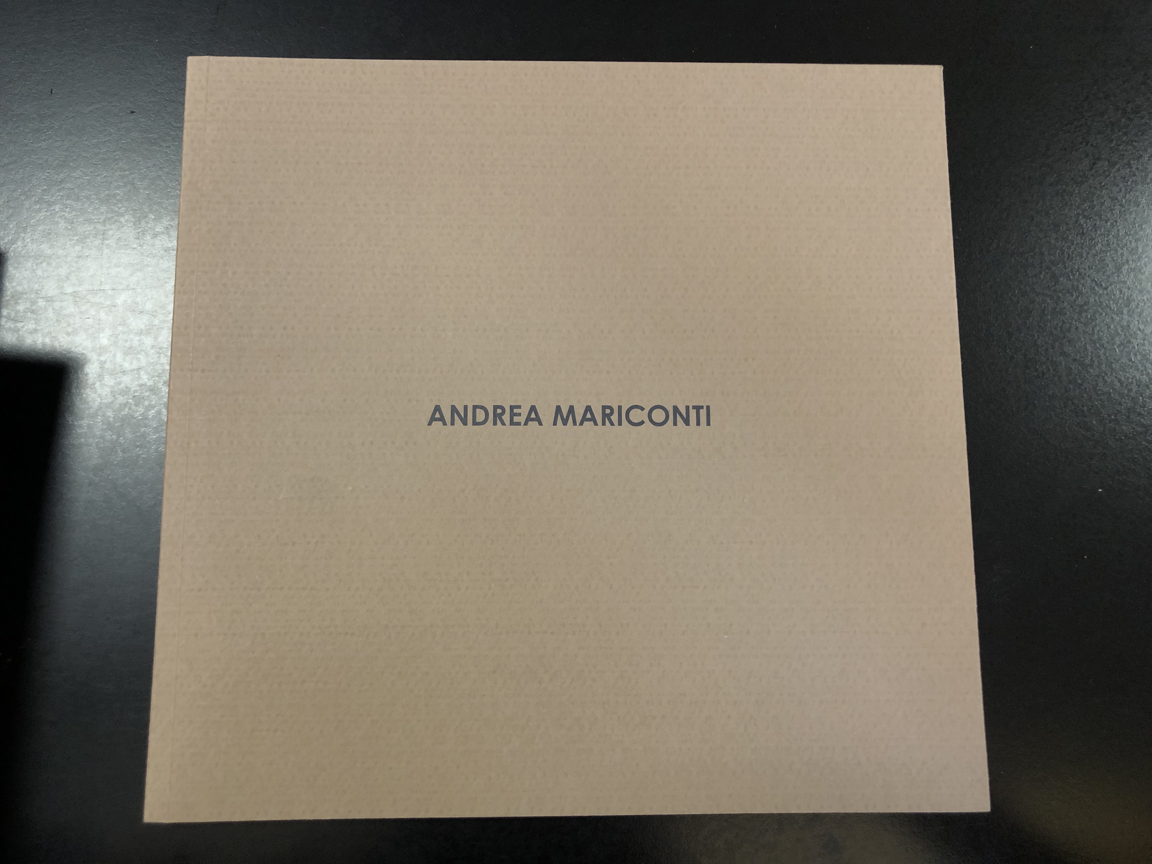 Andrea Mariconti. Quia pulvis. Pittura Italiana 2007.