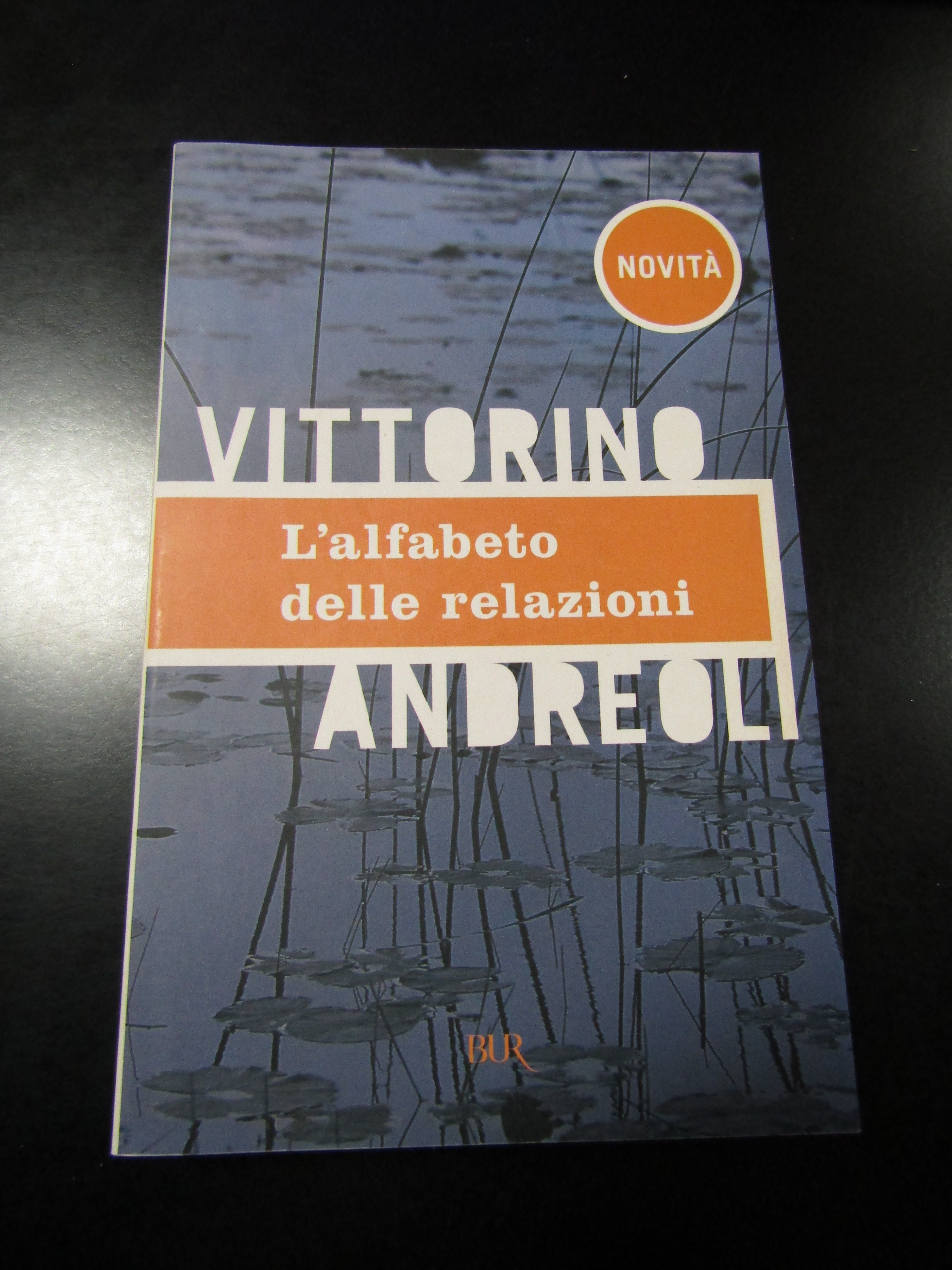 Andreoli Vittorino. L'alfabeto delle relazioni. BUR 2005.