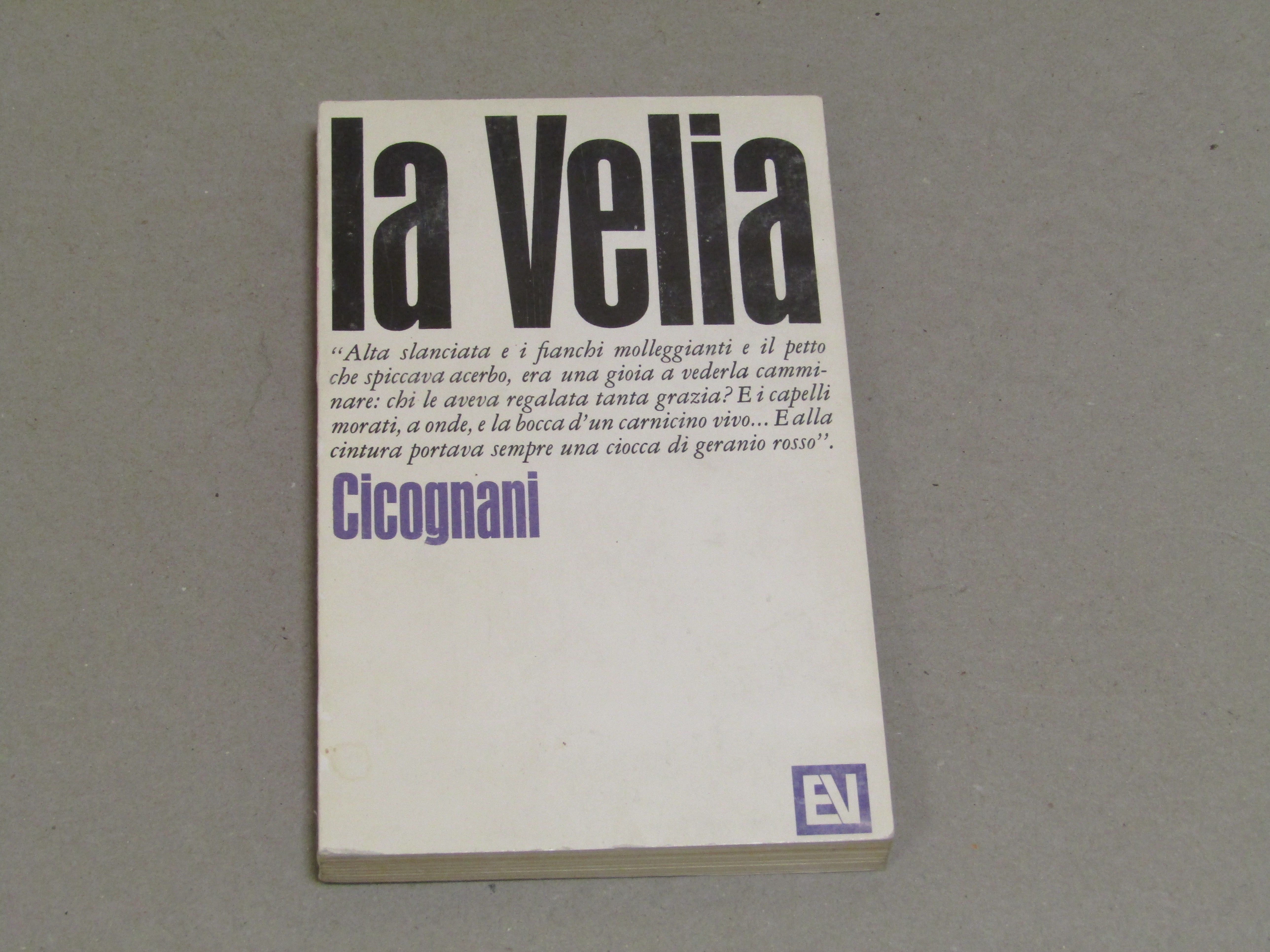Bruno Cicognani. La Velia