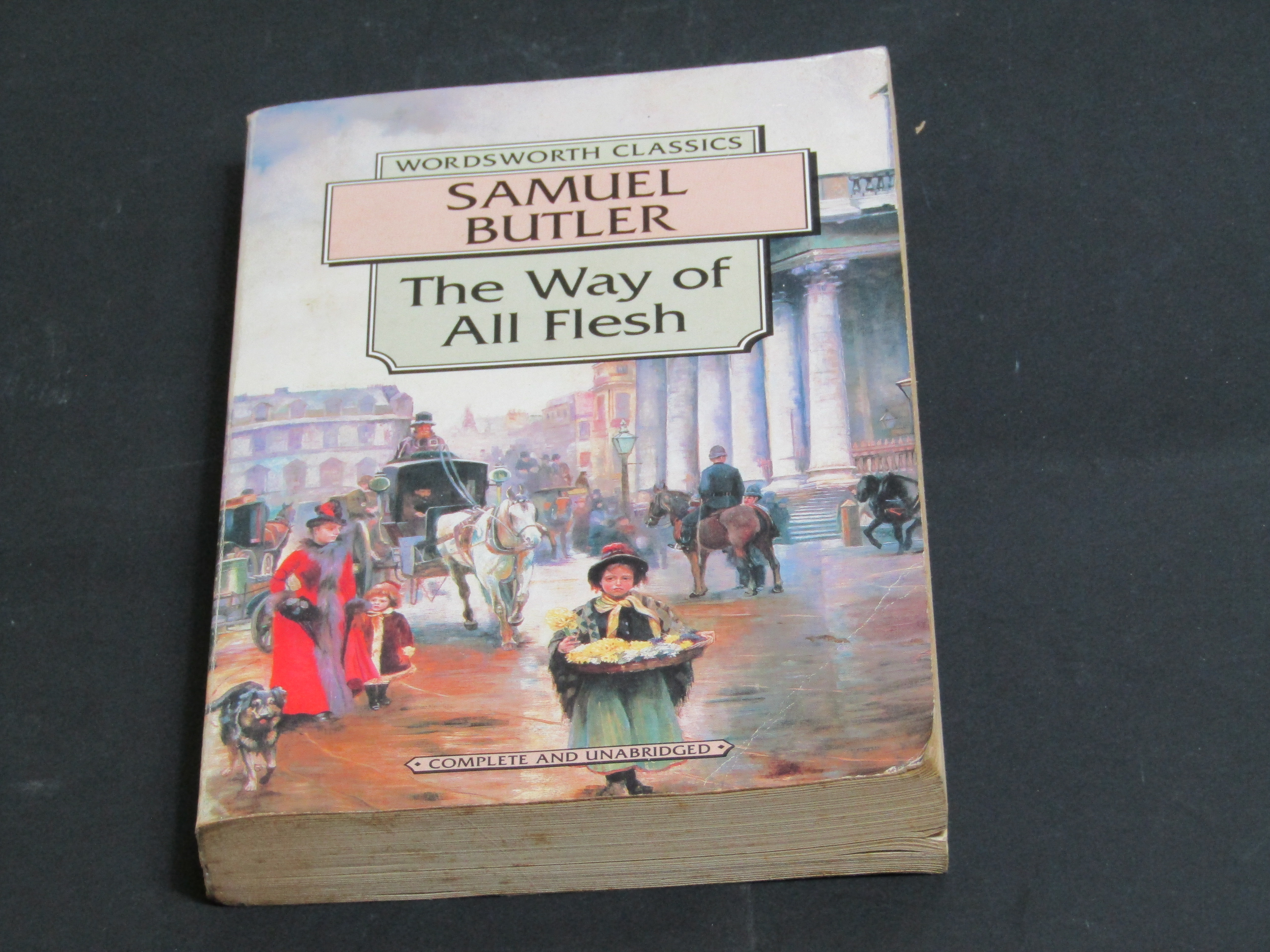 Butler Samuel. The Way of All Flesh. Wordsworth Editions 1994.