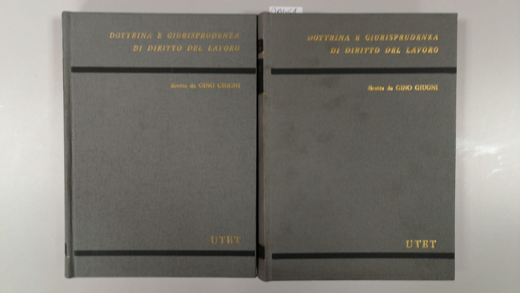 C.Balducci, U.Carabelli. IL SINDACATO - 2 voll., UTET, 1984