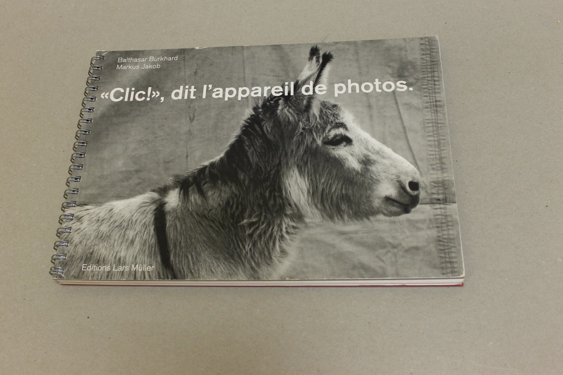 "Clic!", dit l'appareil de photos. Editions Lars Muller 1997.