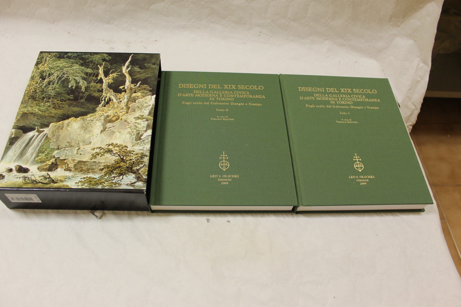 Disegni del XIX secolo della galleria civica d' arte moderna …