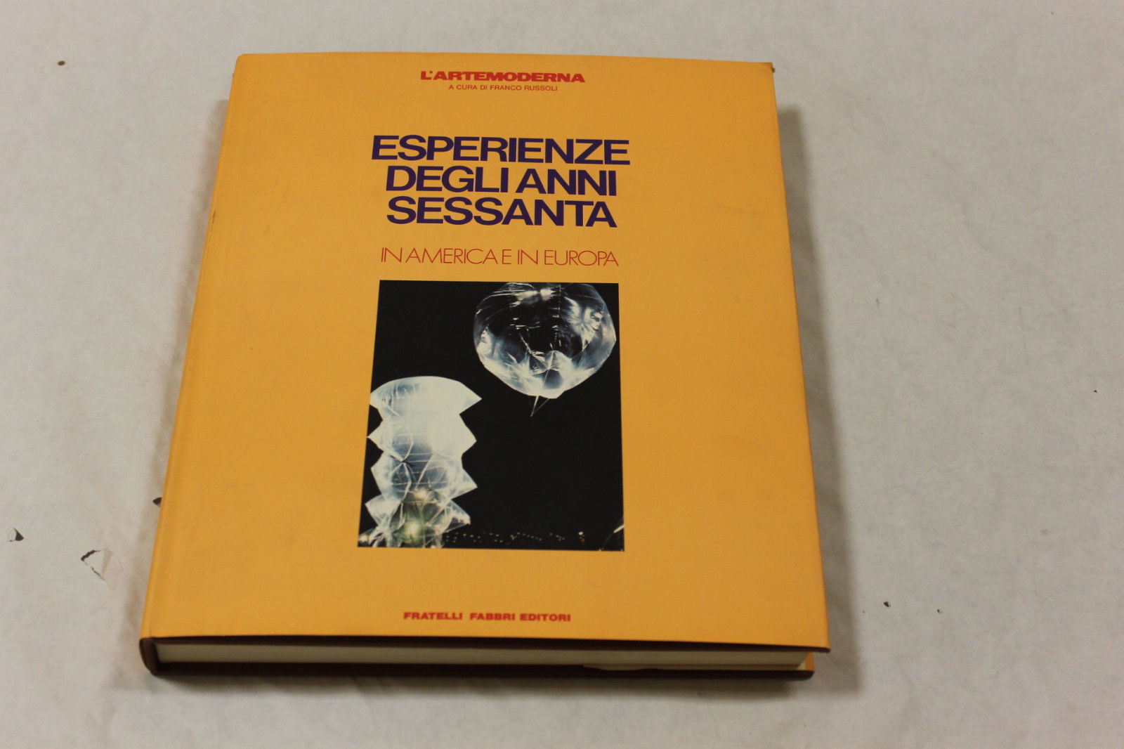 Esperienze degli anni sessanta in America e in Europa