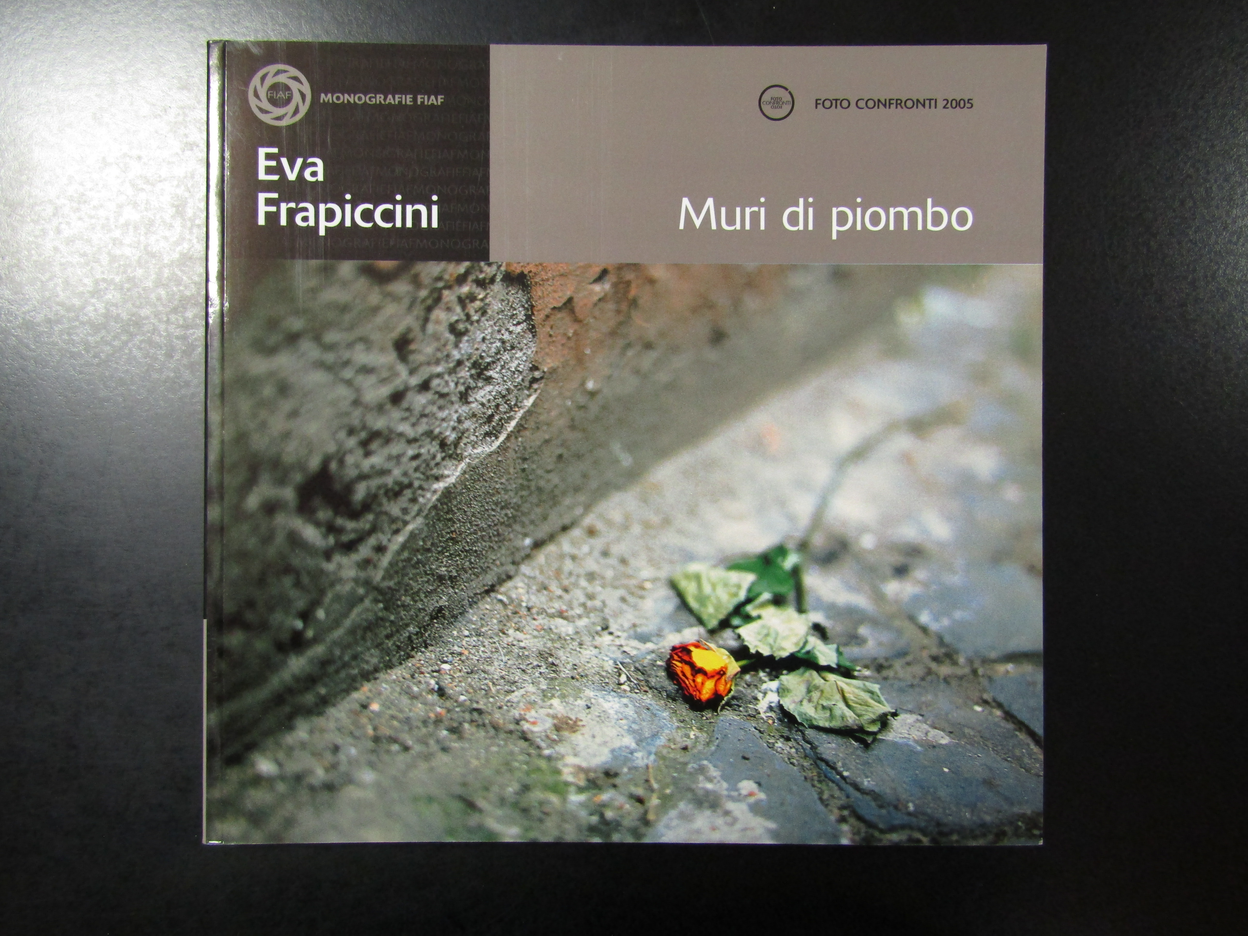 Eva Frapiccini. Muri di piombo. FIAF 2005.