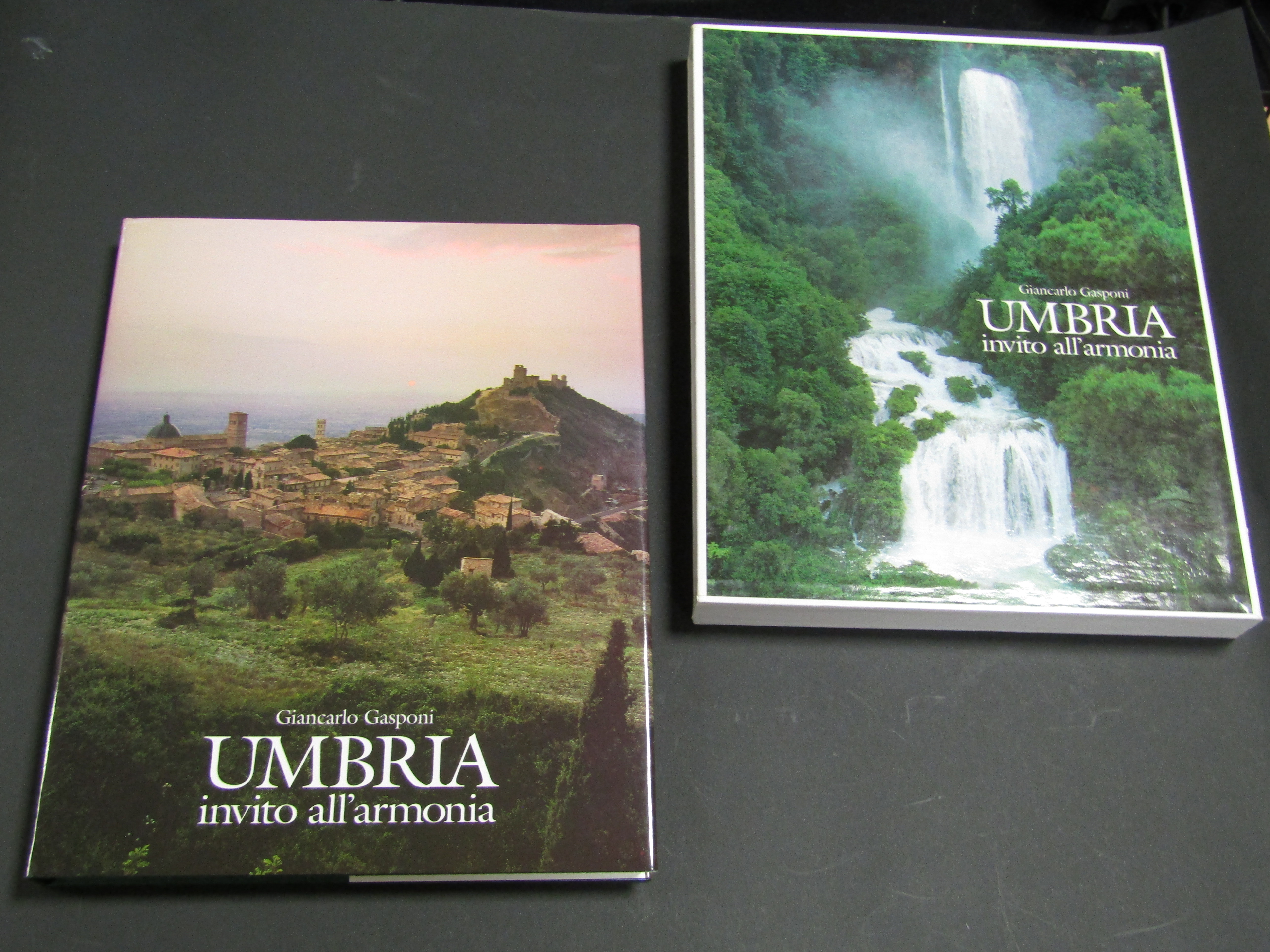 Gasponi Giancarlo. Umbria. Invito all'armonia. Euroedit 2002. Con cofanetto.