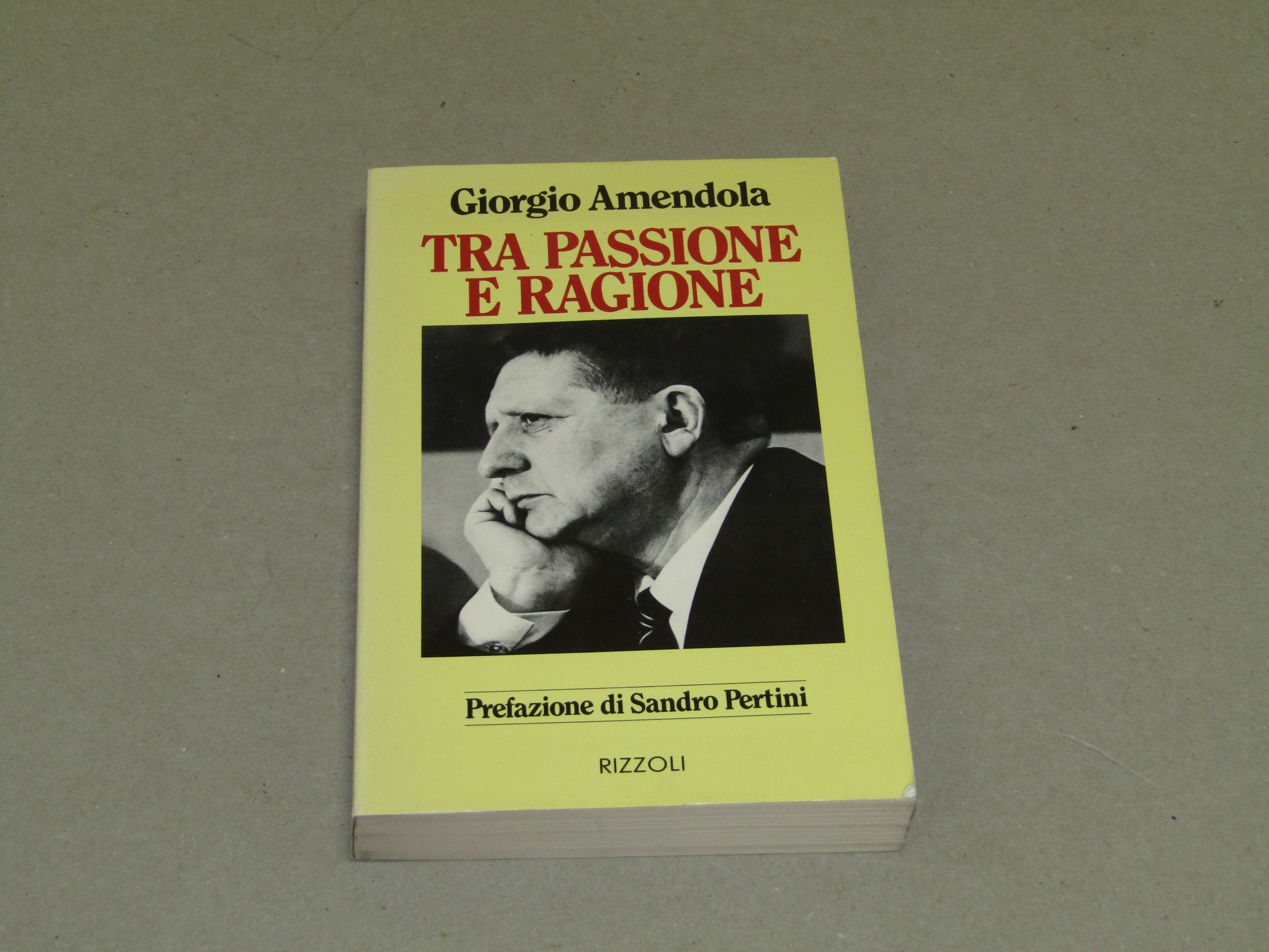 Giorgio Amendola. Tra passione e ragione