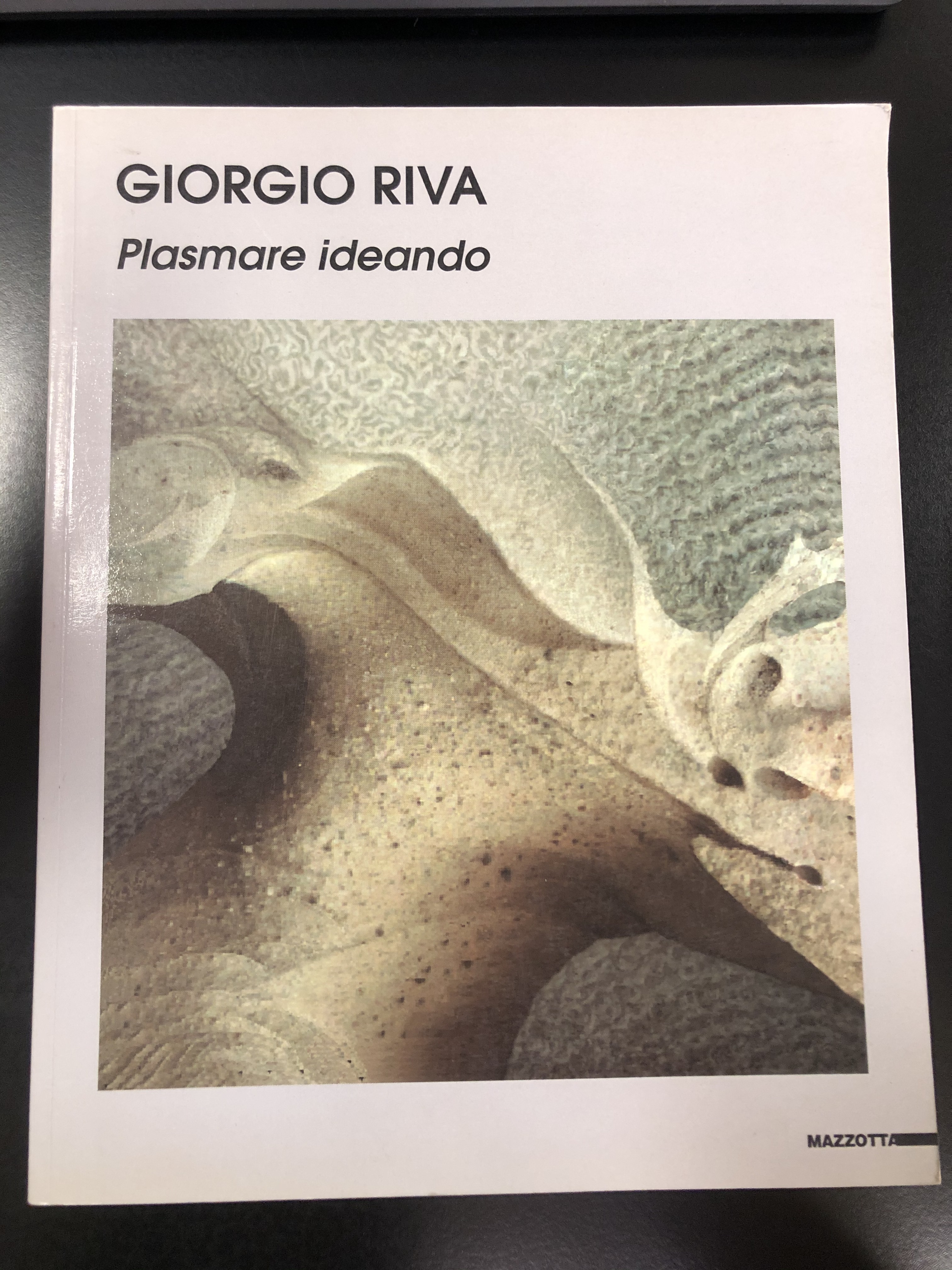 Giorgio Riva. Plasmare ideando. Opere 1975-1995. Mazzotta 1996.