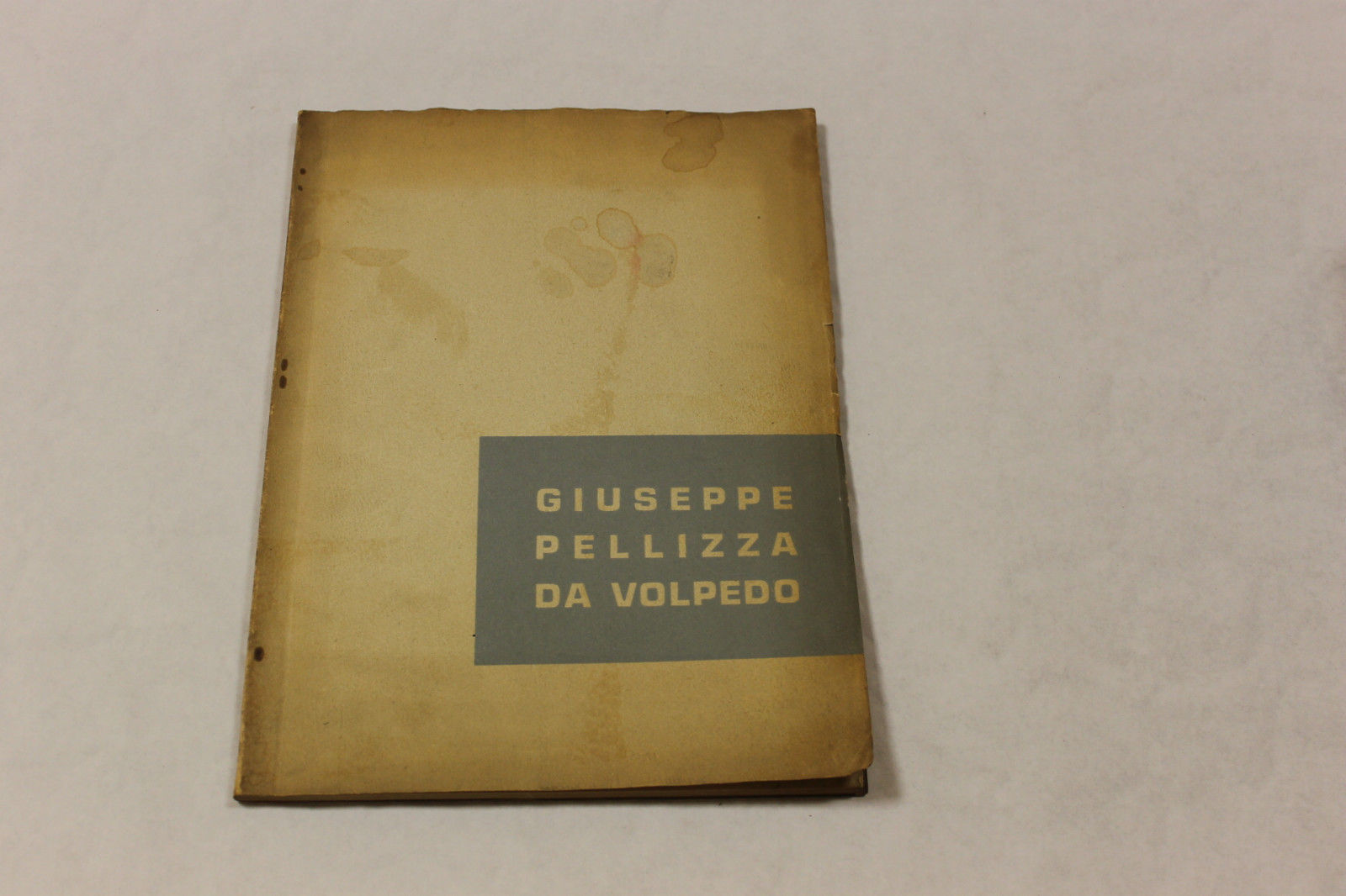 GIUSEPPE PELLIZZA DA VOLPEDO 1868 - 1907