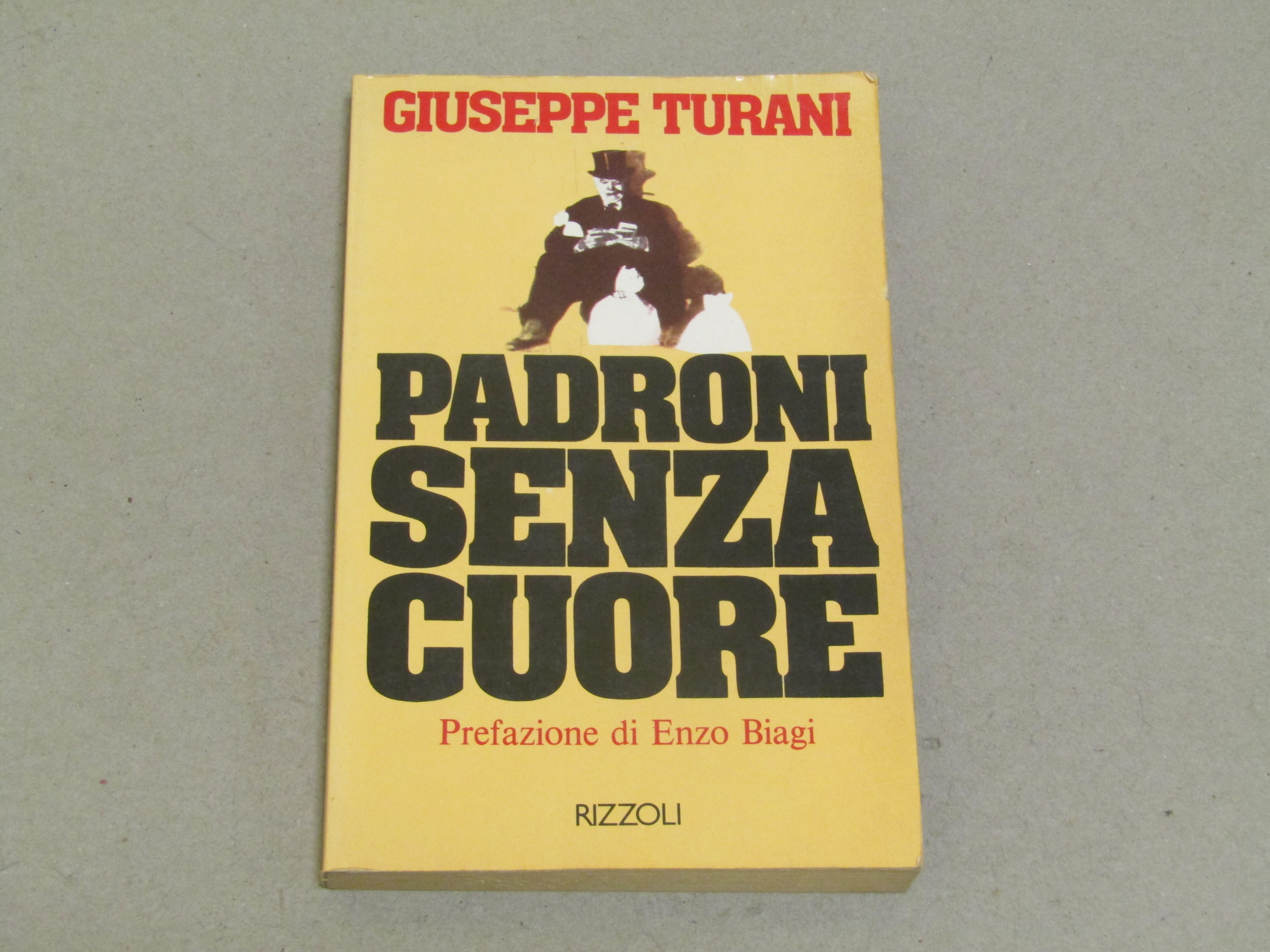 Giuseppe Turani. Padroni senza cuore