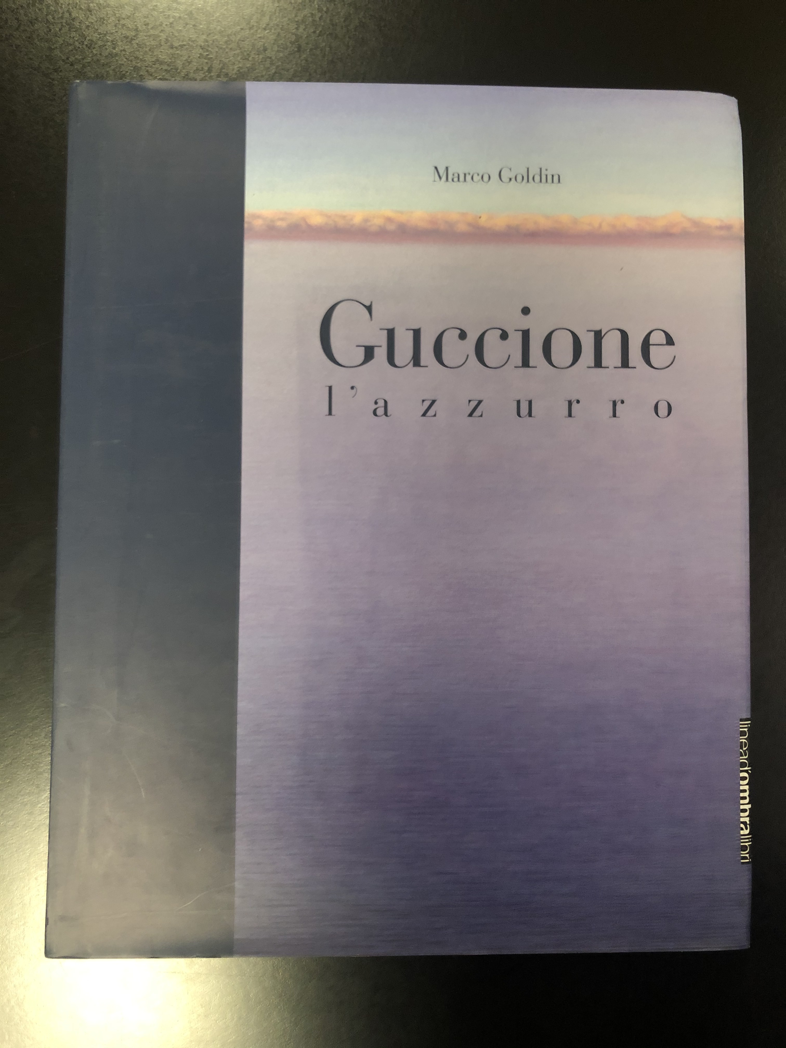 Goldin Marco. Guccione. L'azzurro. Linea d'ombra Libri 2005.