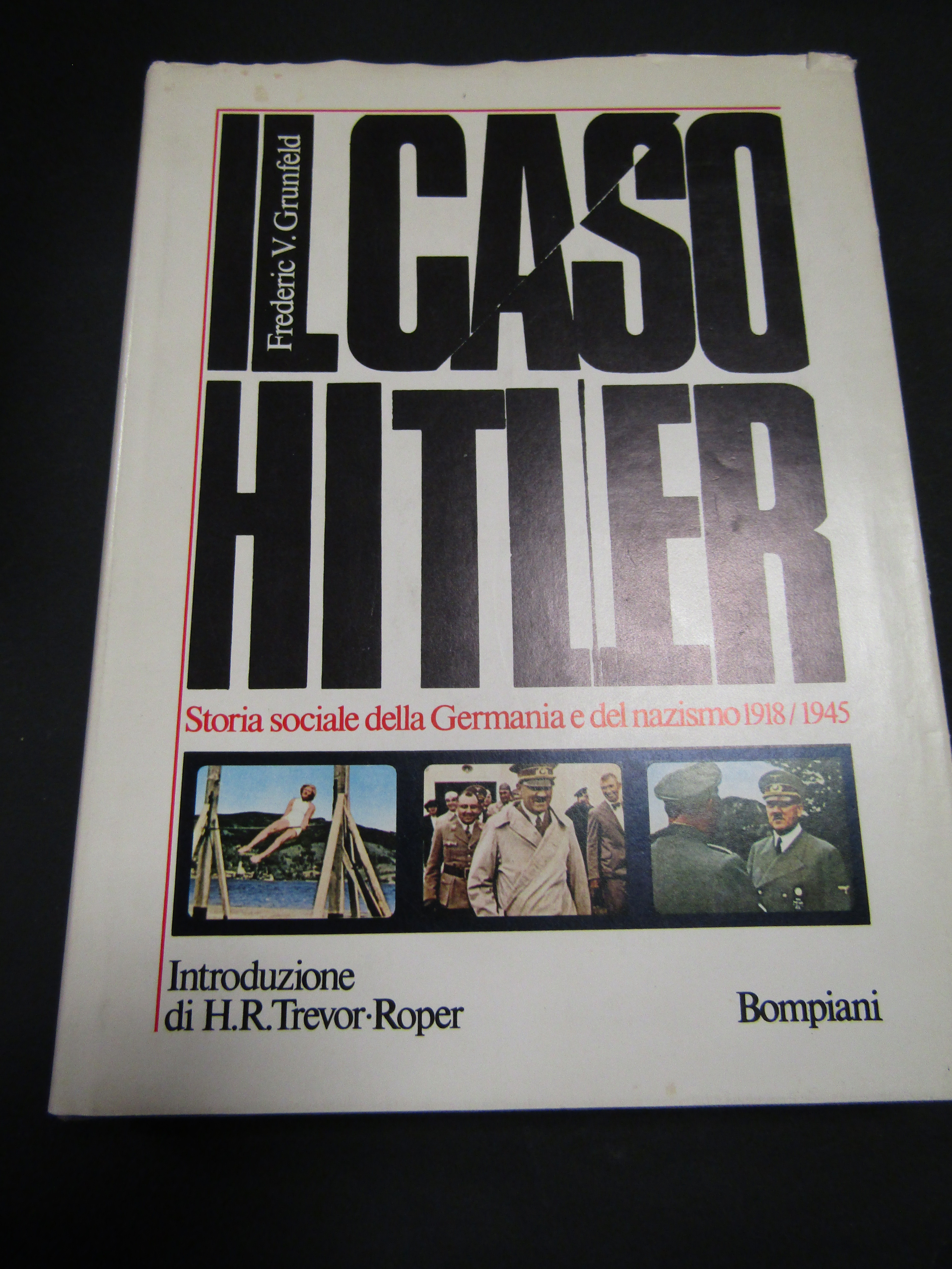 Grunfeld Frederic V. Il caso Hitler. Storia della Germania e …