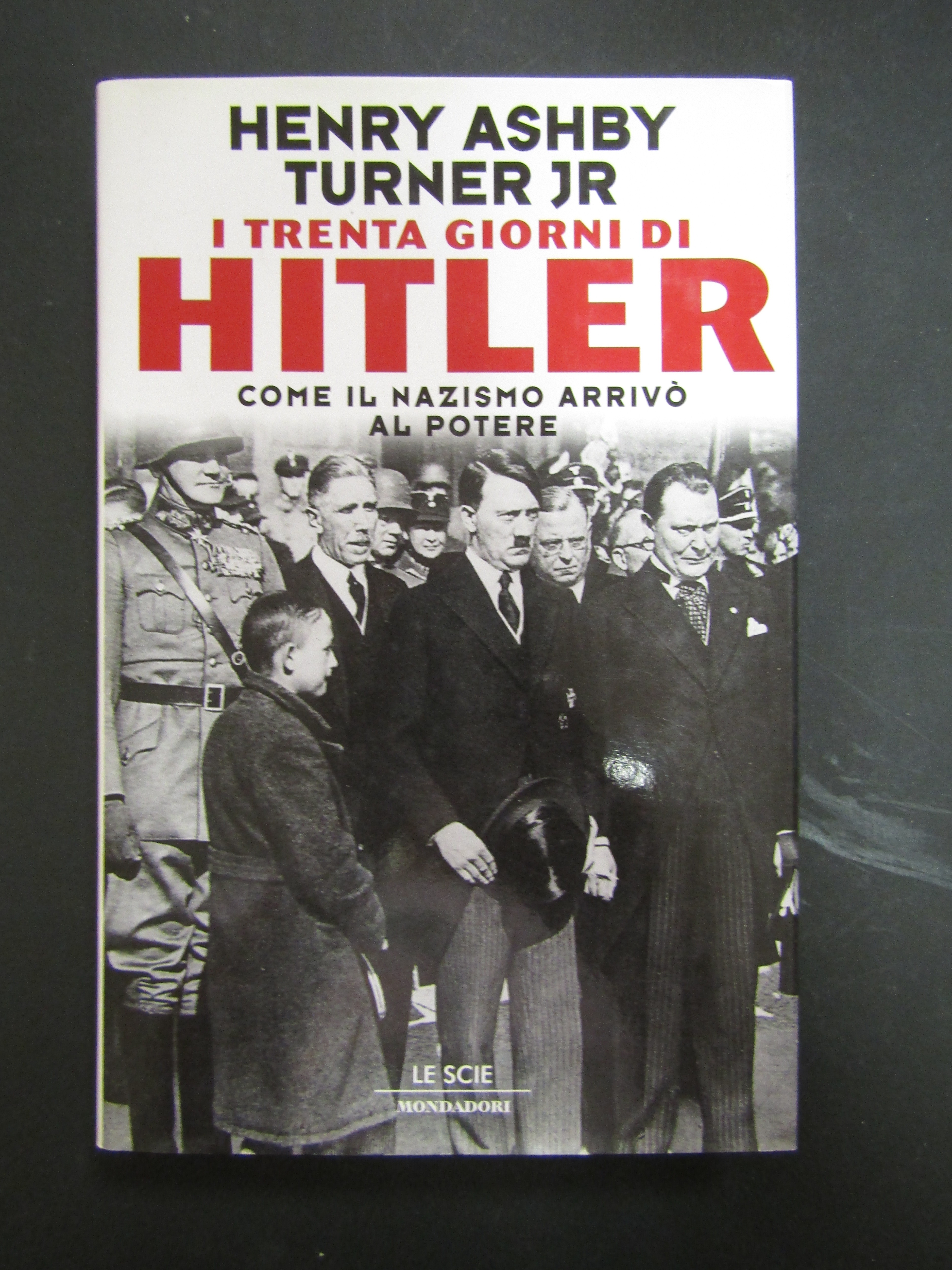 Henry Ashby Turner Jr. I trenta giorni di Hitler. Come …