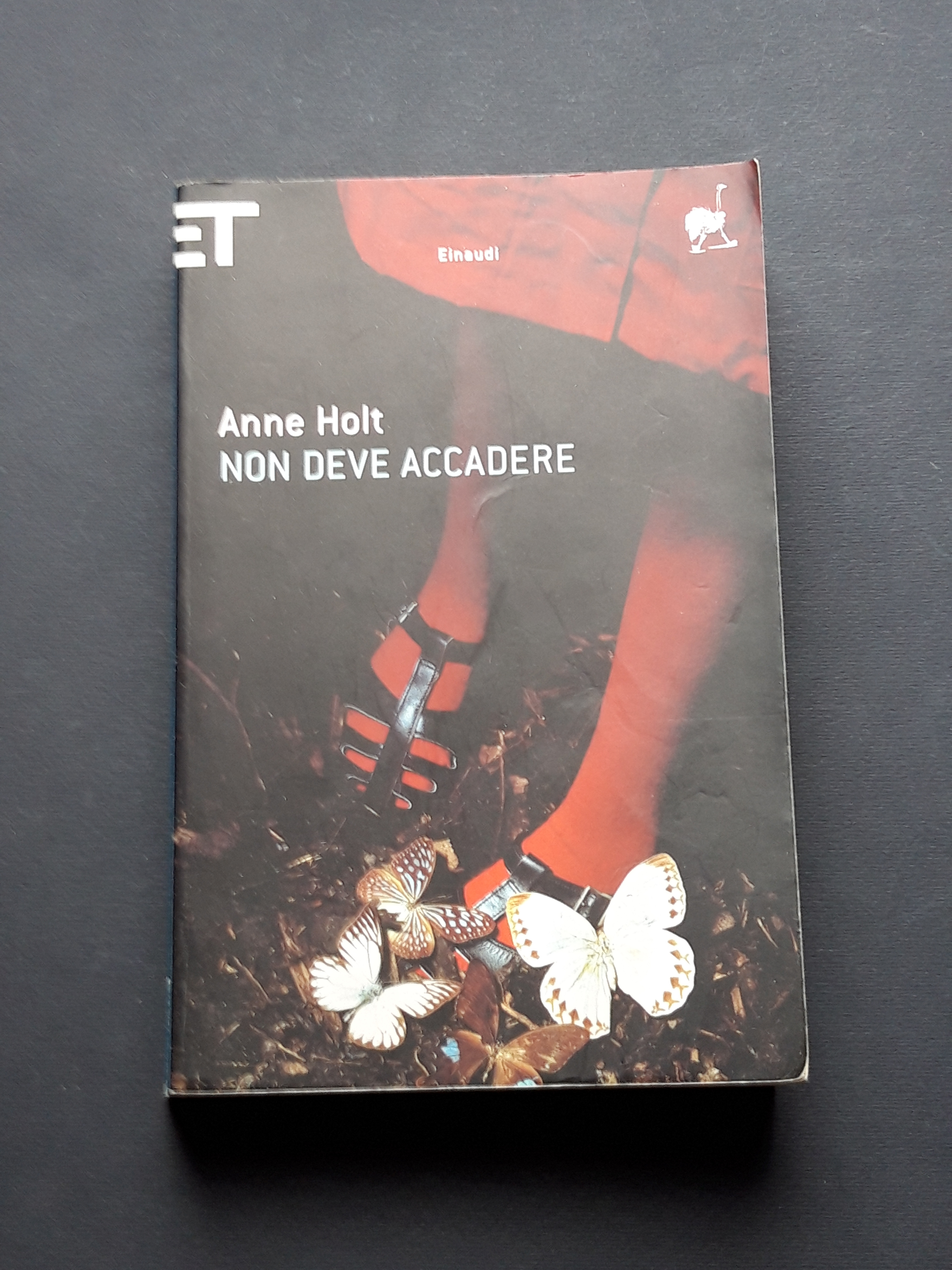 Holt Anne, Non deve accadere, Einaudi, 2010