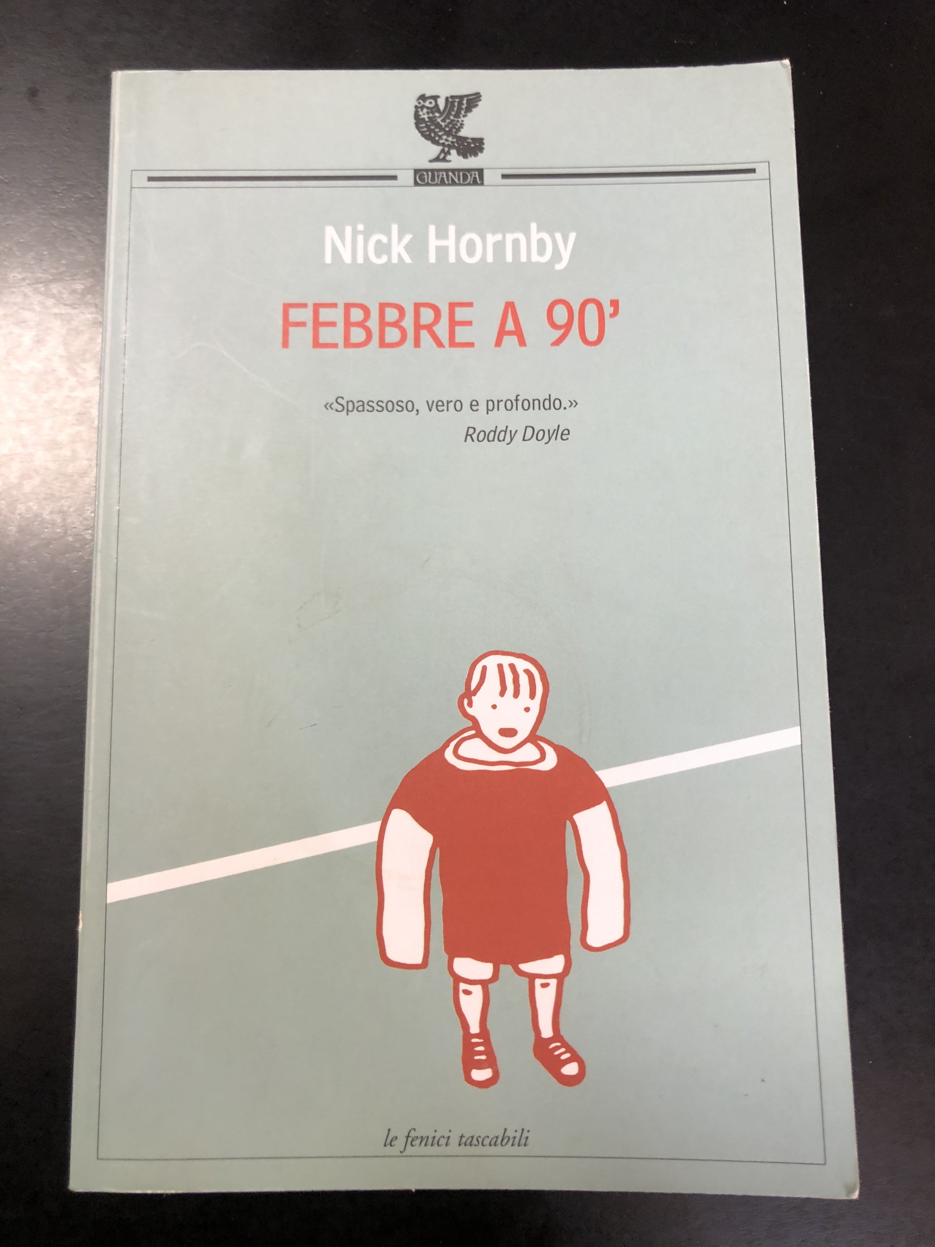 Hornby Nick. Febbre a 90'. Guanda editore 2008.