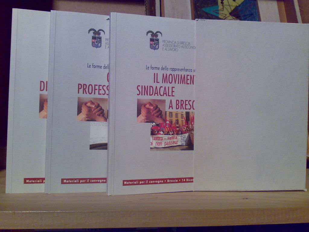 IL MOVIMENTO SINDACALE A BRESCIA - 1998